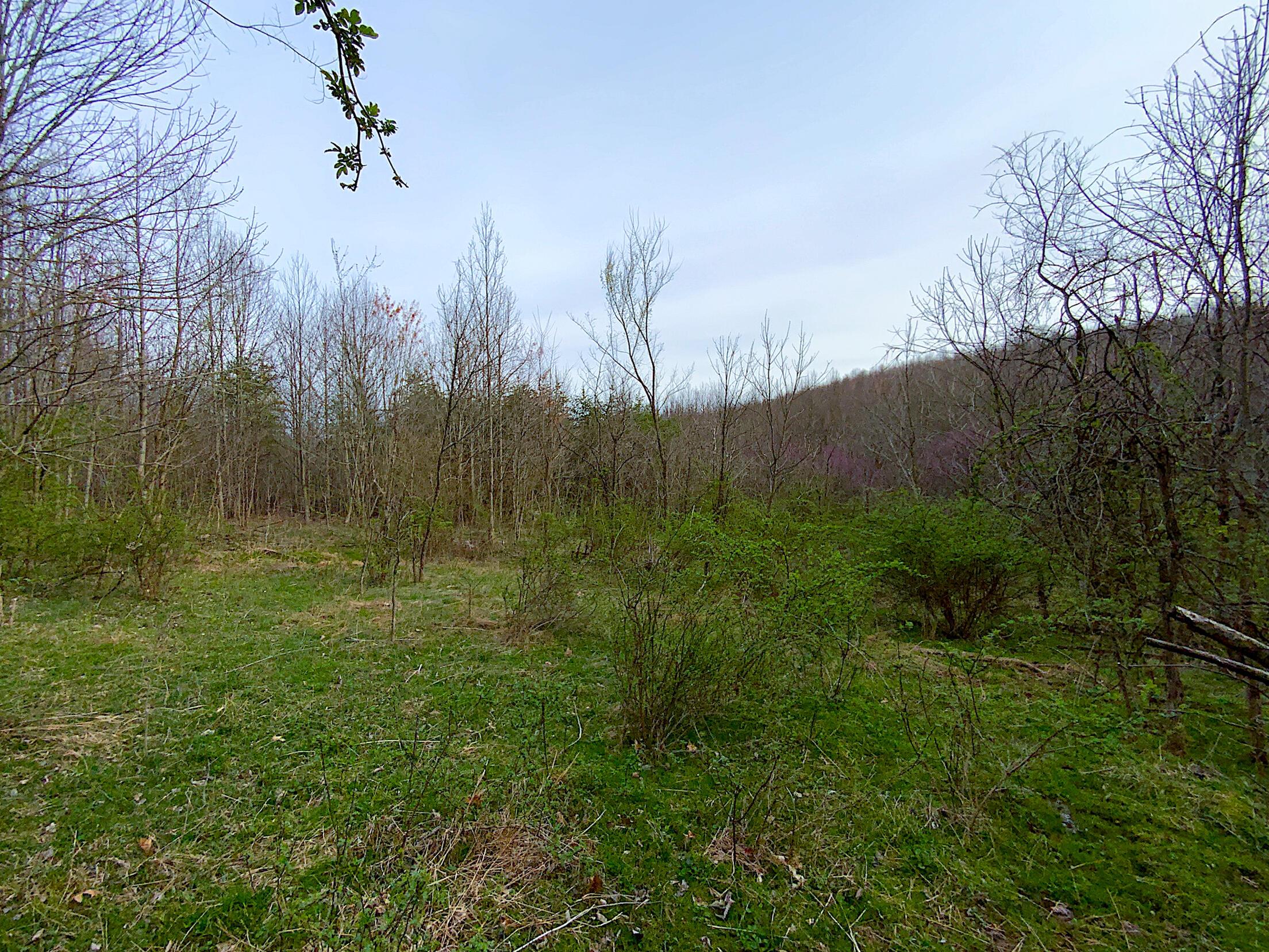 0 Beavers Ridge Road, 1 Property Photo 4