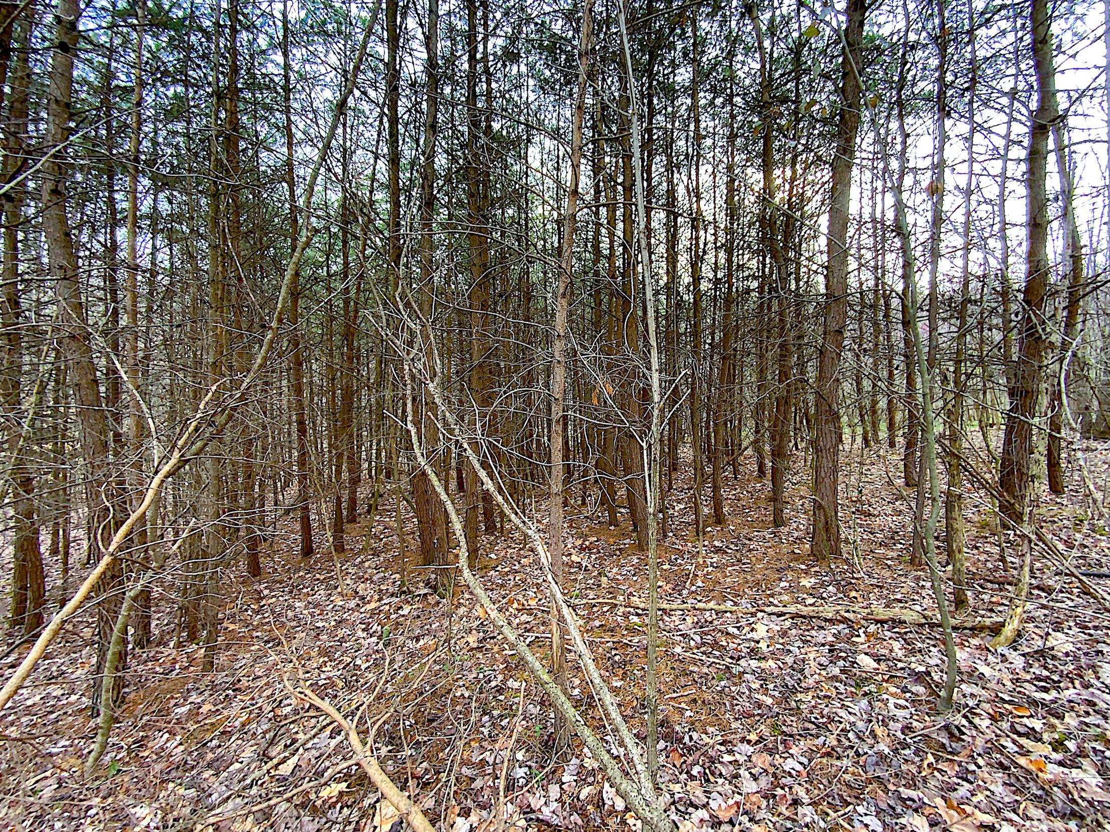 0 Beavers Ridge Road, 1 Property Photo 6