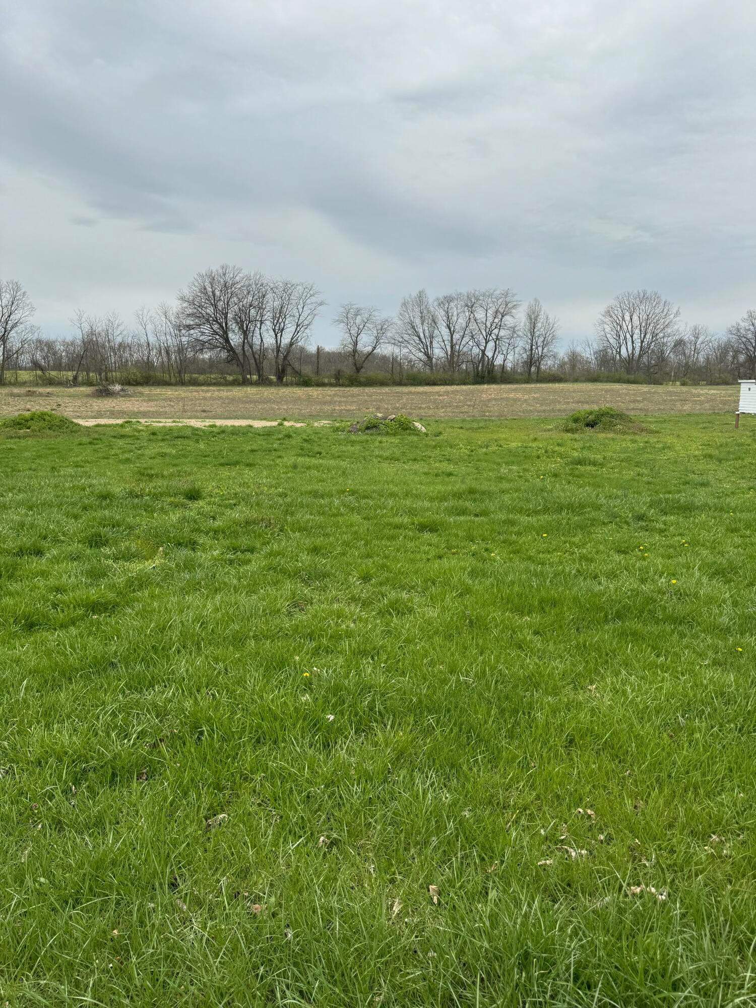 8159 Maple Street Property Photo