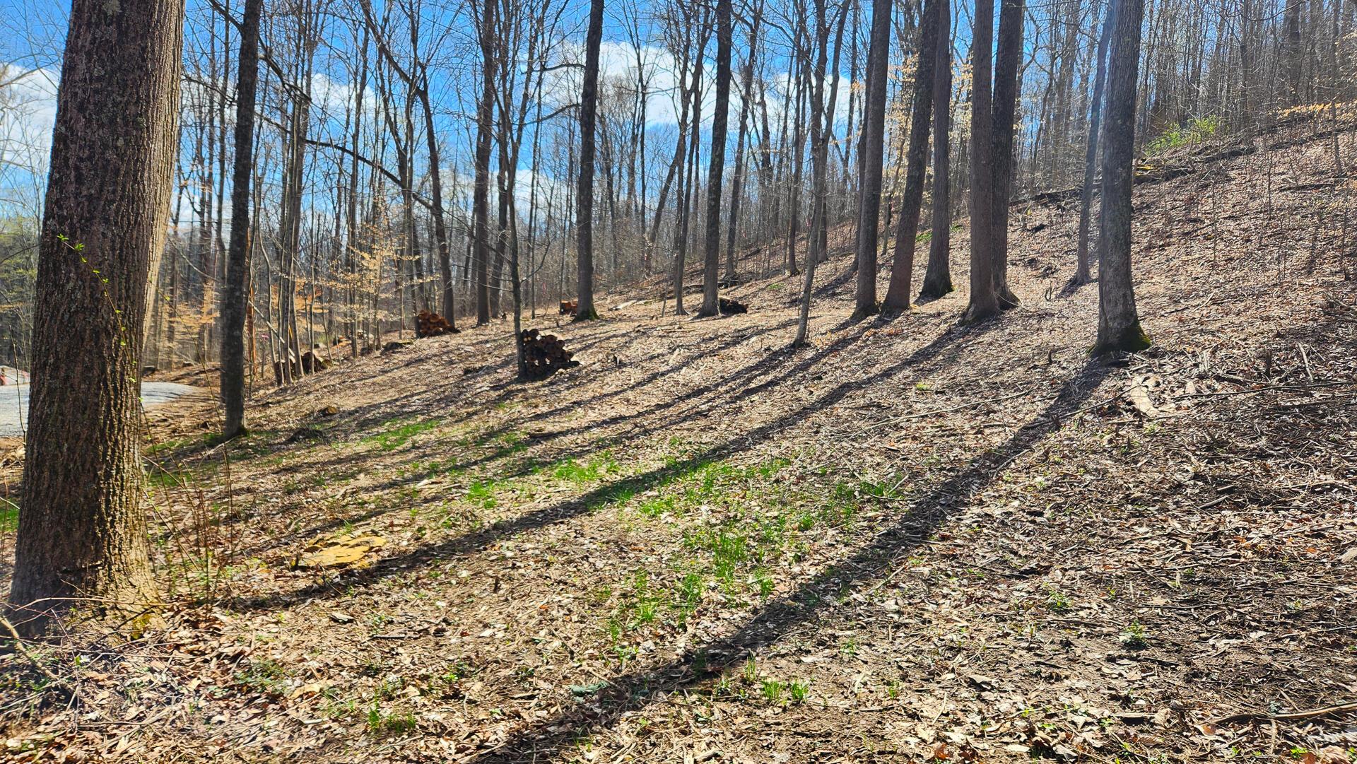 0 Pike Lake Rd Road, (tract 2 Pike Lake Getaway) Property Photo 14