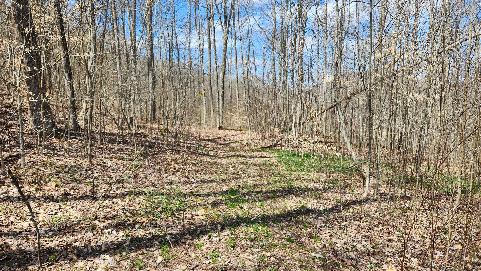 0 Pike Lake Rd Road, (tract 2 Pike Lake Getaway) Property Photo 15