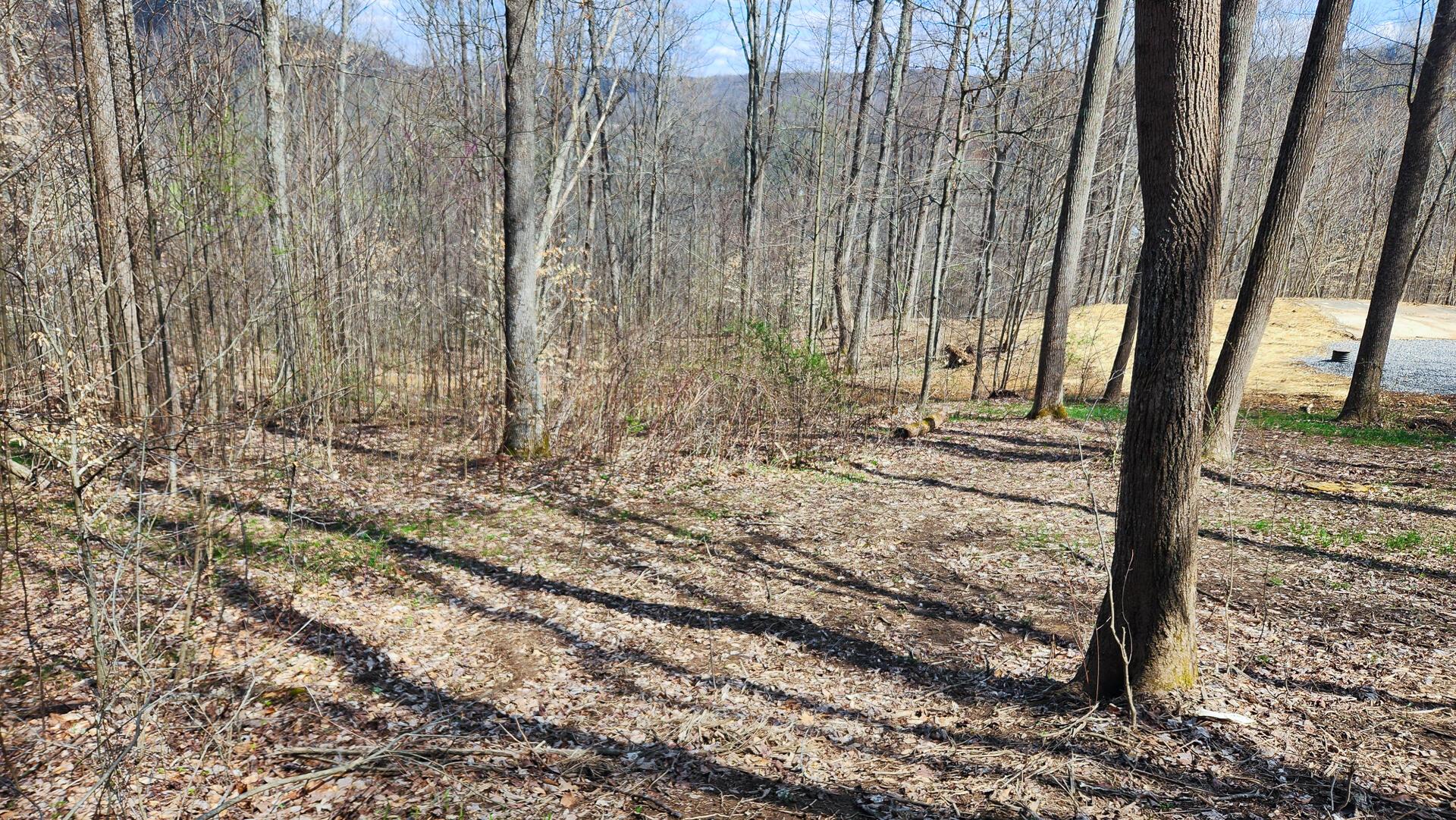 0 Pike Lake Rd Road, (tract 2 Pike Lake Getaway) Property Photo 16