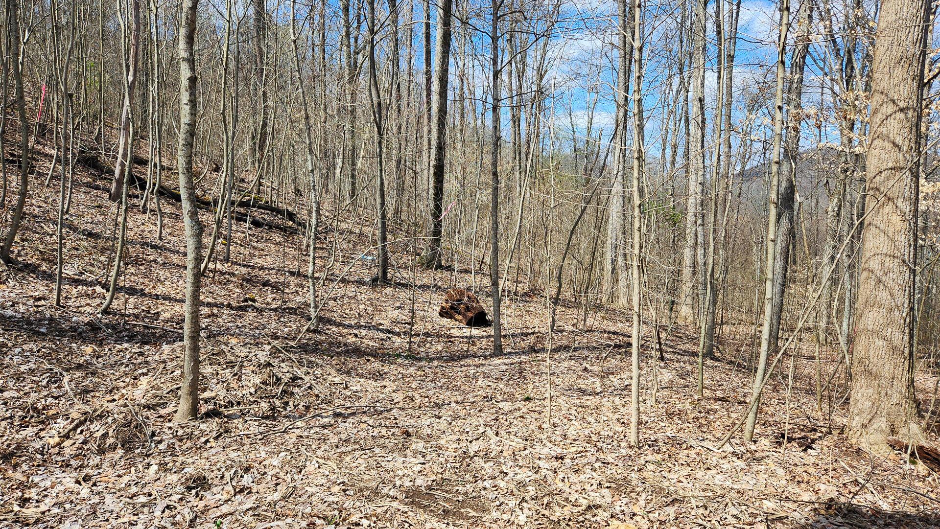0 Pike Lake Rd Road, (tract 2 Pike Lake Getaway) Property Photo 17