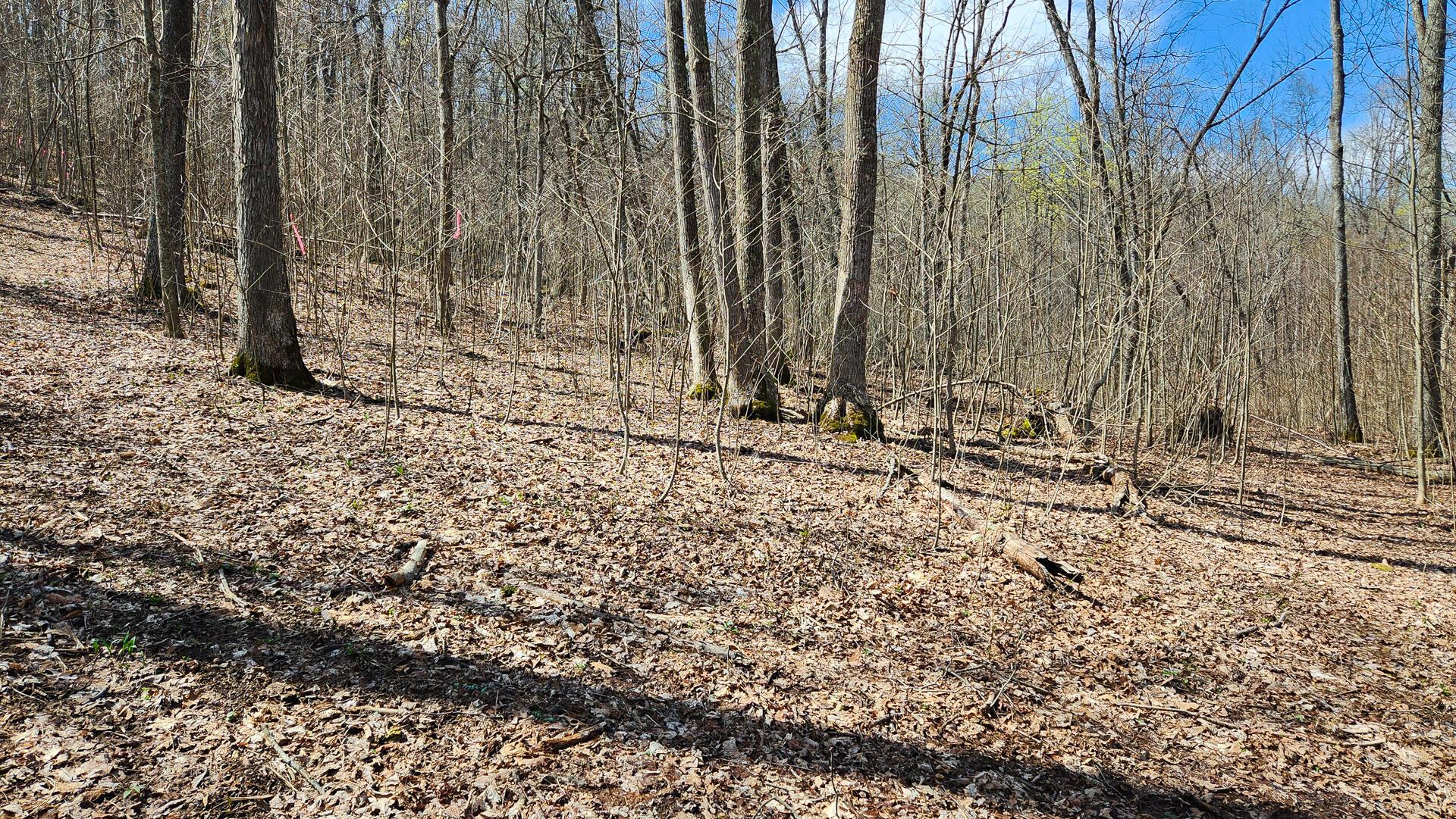 0 Pike Lake Rd Road, (tract 2 Pike Lake Getaway) Property Photo 21