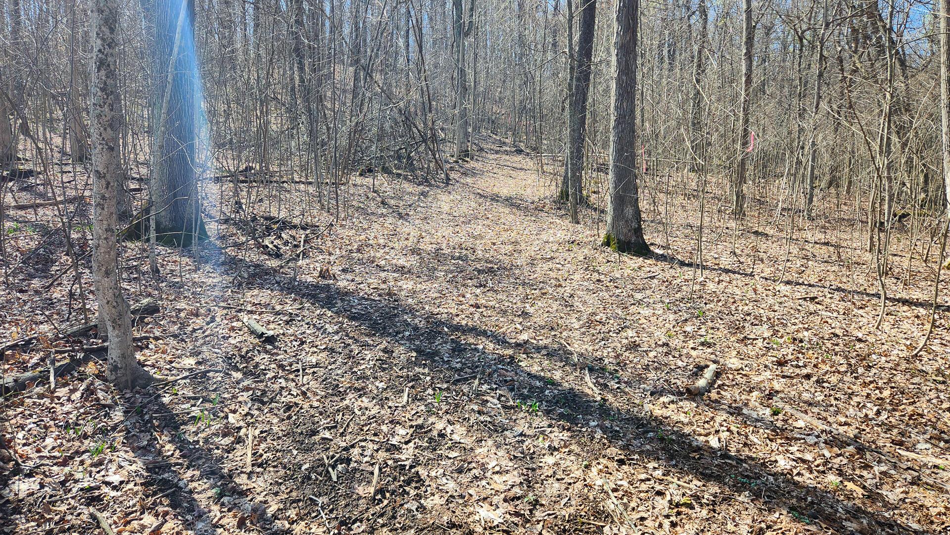 0 Pike Lake Rd Road, (tract 2 Pike Lake Getaway) Property Photo 39