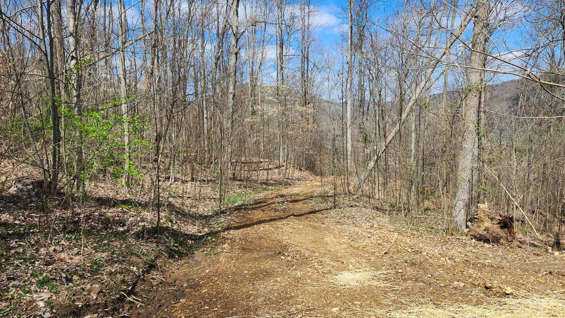 0 Pike Lake Rd Road, (tract 2 Pike Lake Getaway) Property Photo 43