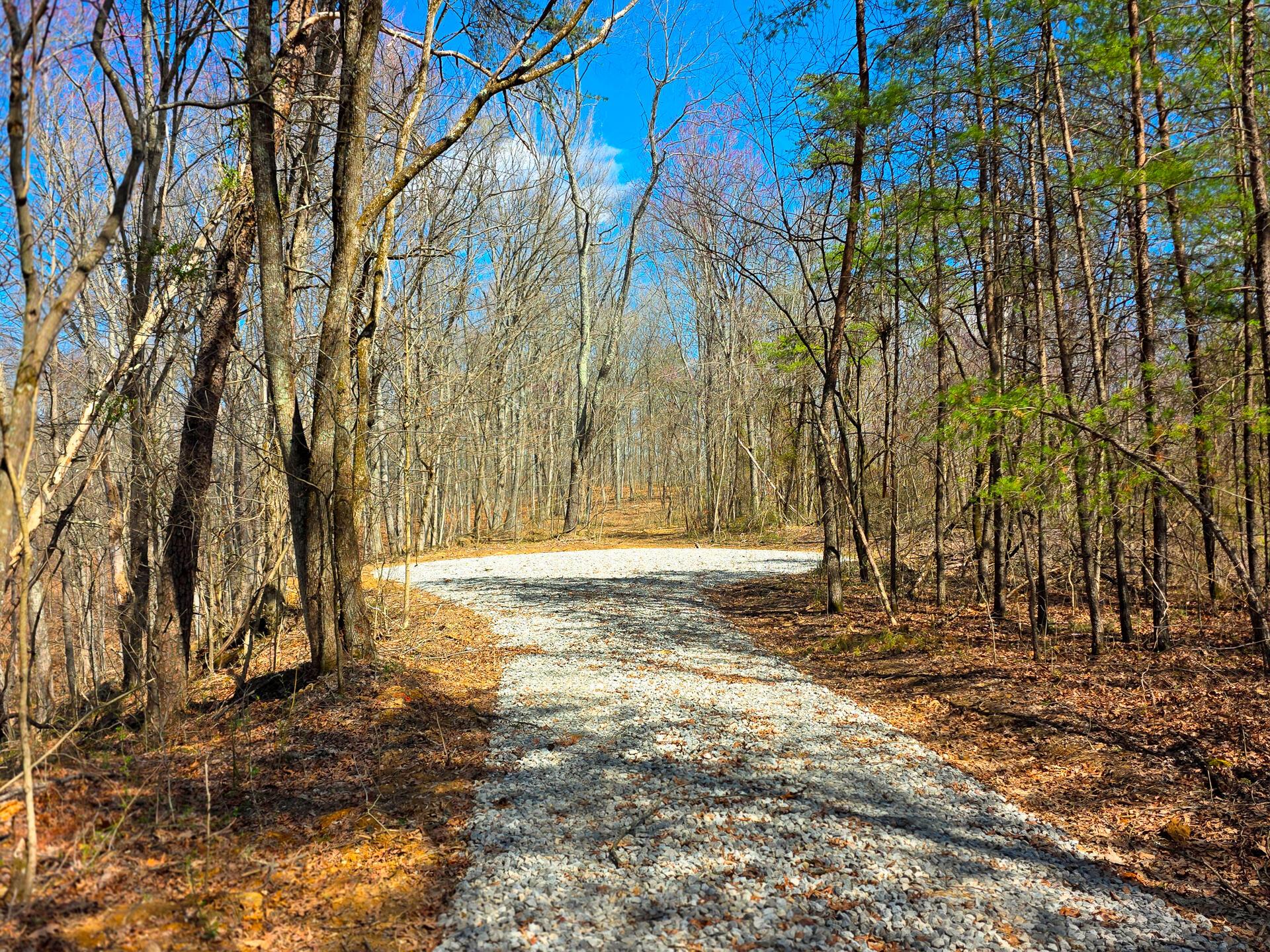0 Edmunson Road, (tract 7 At Big Timber) Property Photo