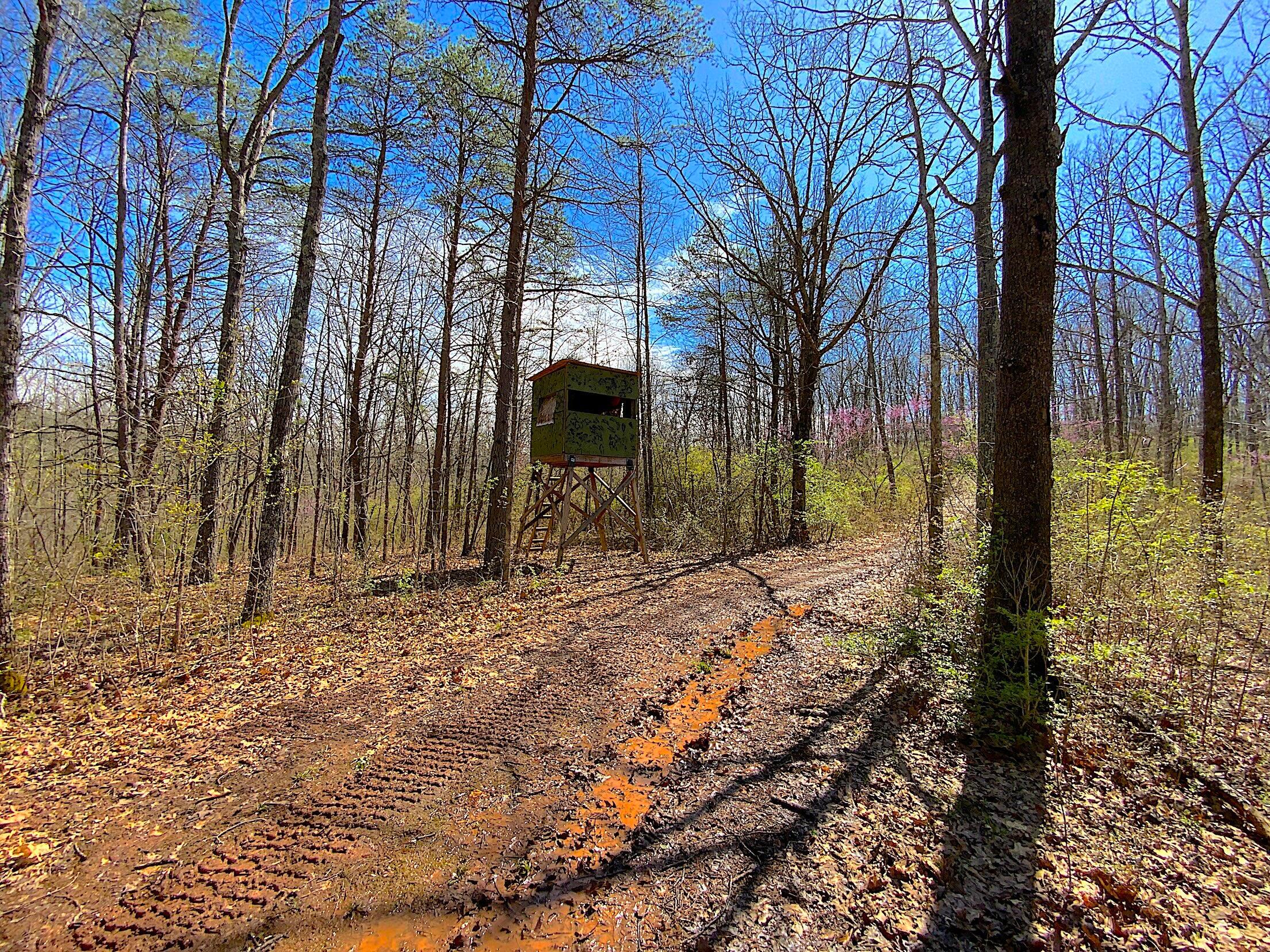 9675 State Route 554 Property Photo 13