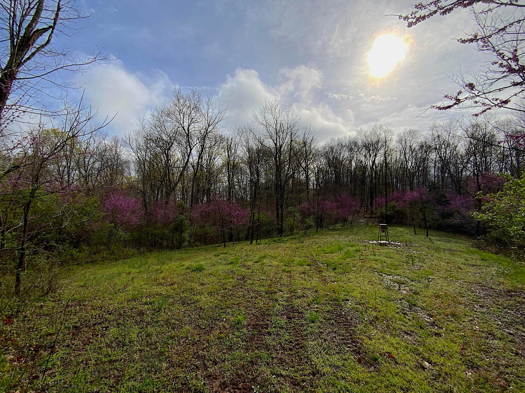 9675 State Route 554 Property Photo 17