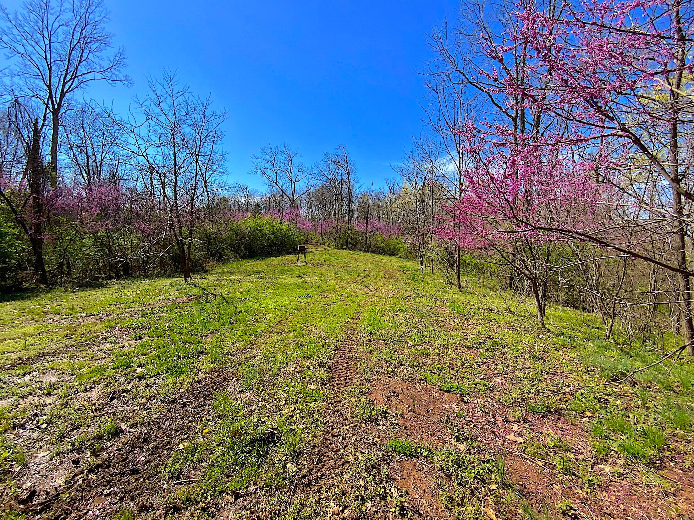 9675 State Route 554 Property Photo 18