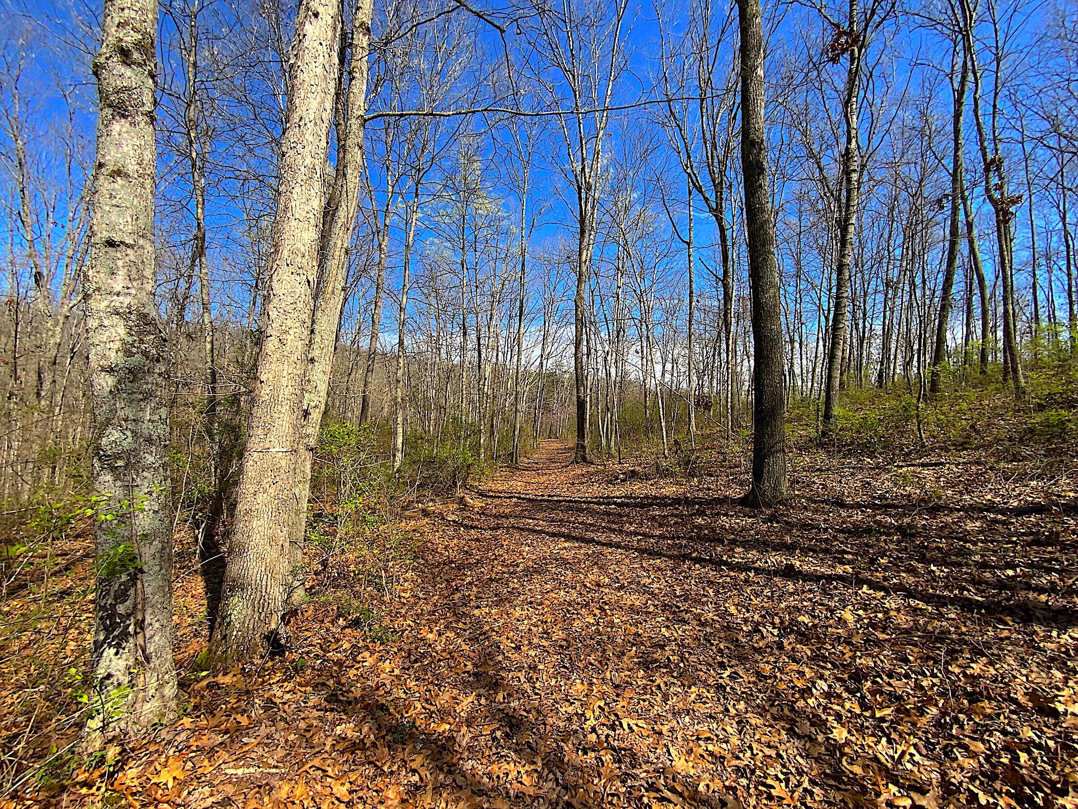 9675 State Route 554 Property Photo 19