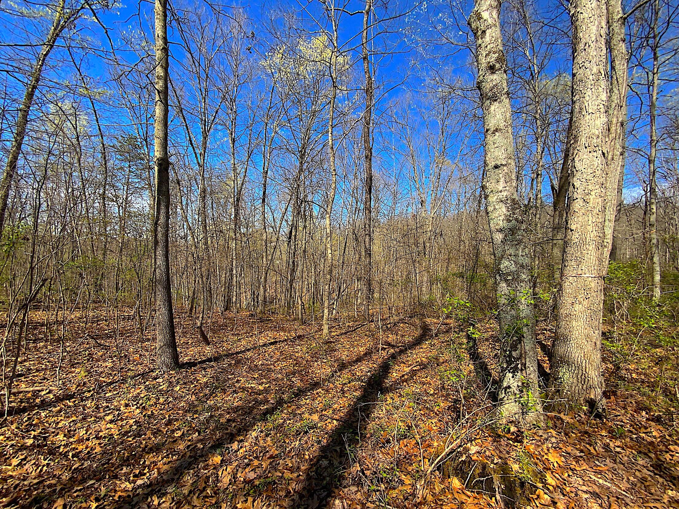 9675 State Route 554 Property Photo 20