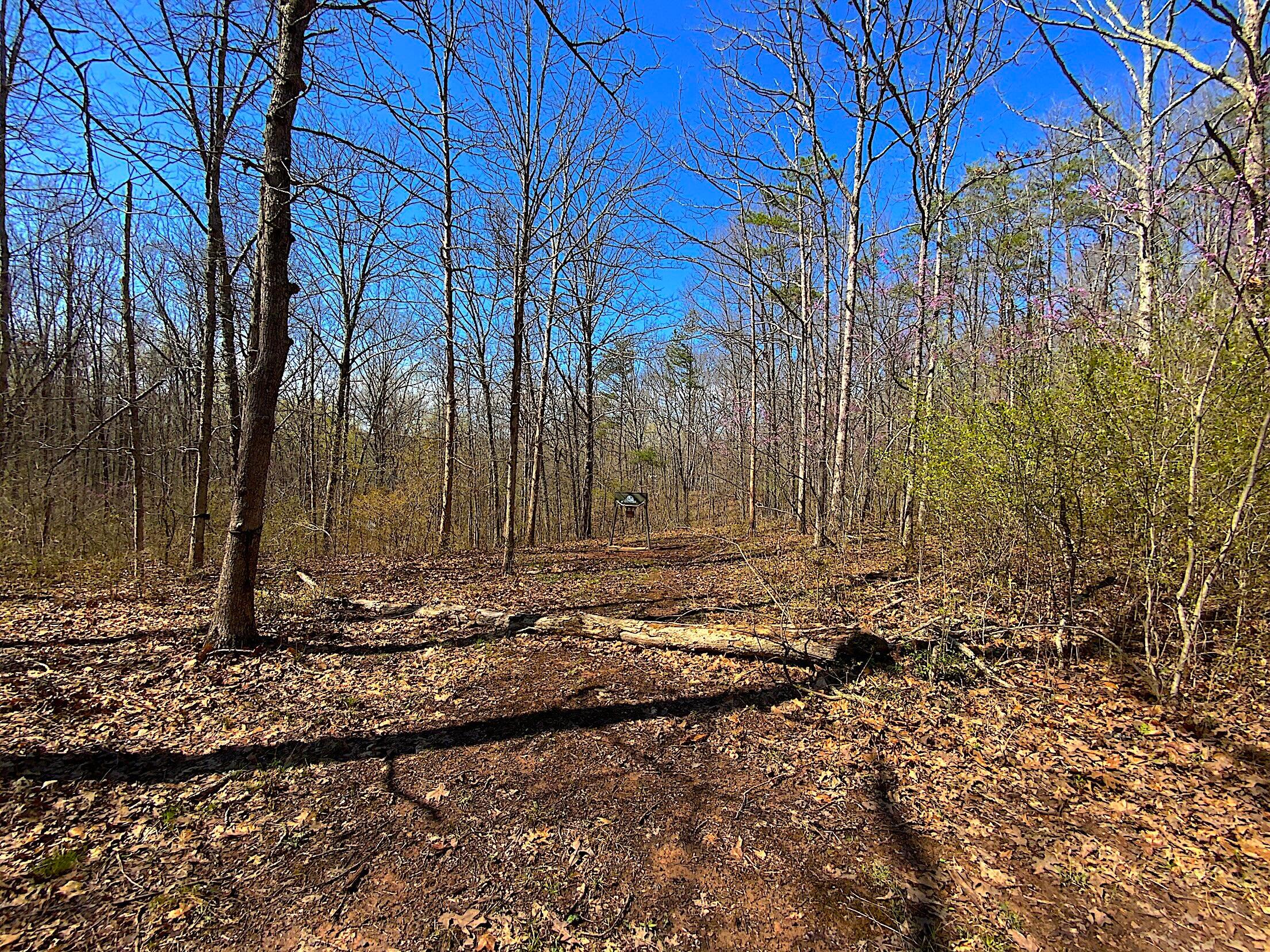 9675 State Route 554 Property Photo 21