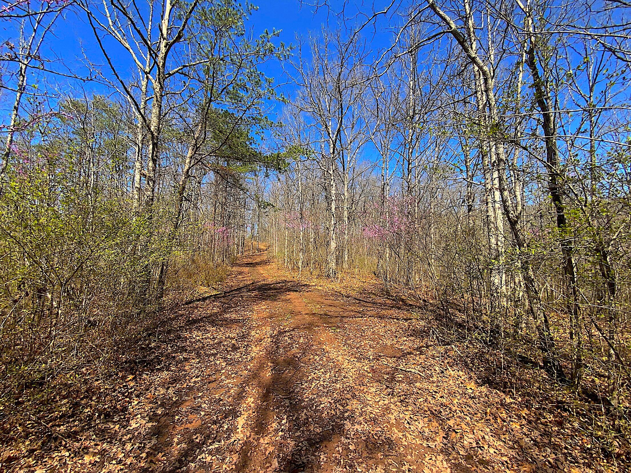 9675 State Route 554 Property Photo 22