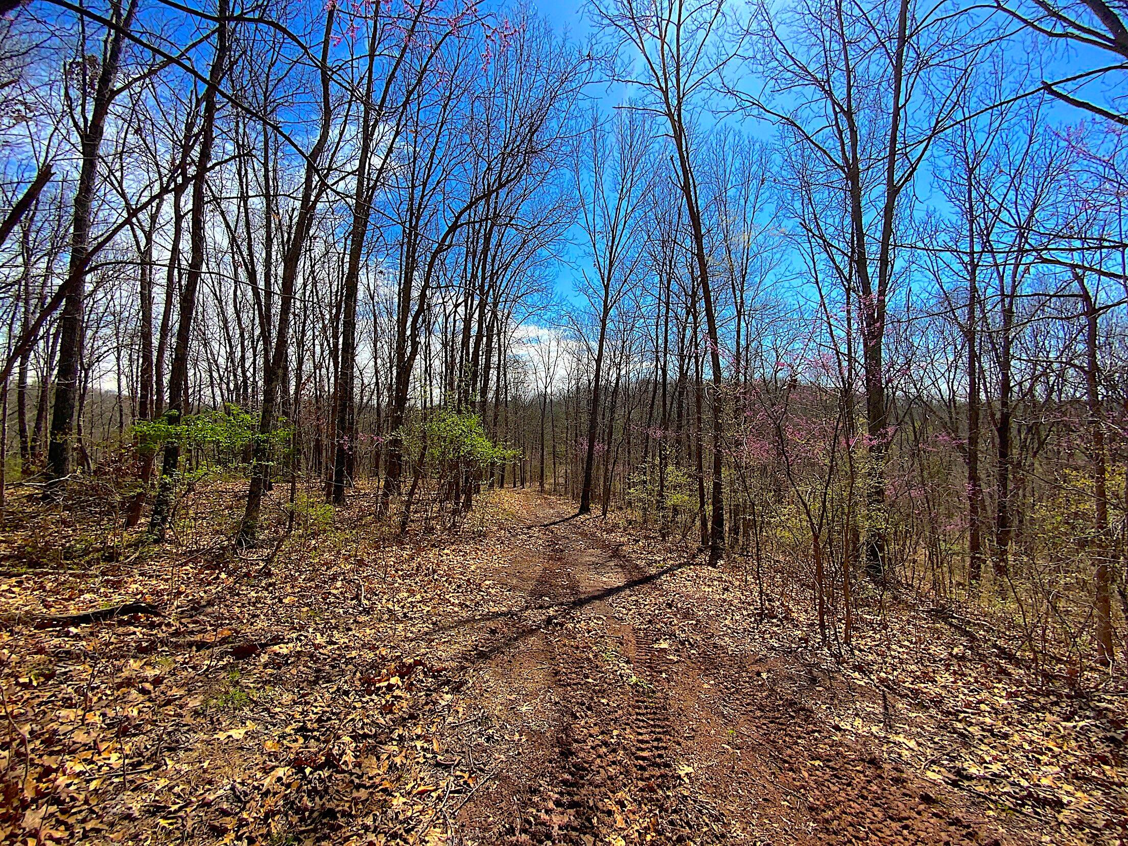 9675 State Route 554 Property Photo 23