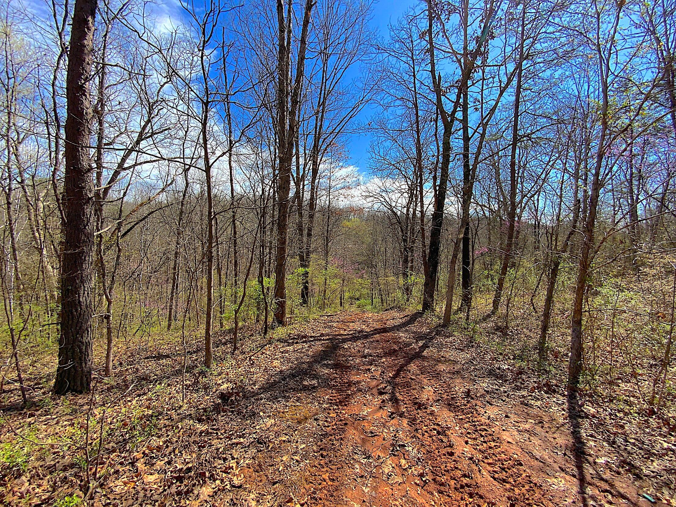 9675 State Route 554 Property Photo 25