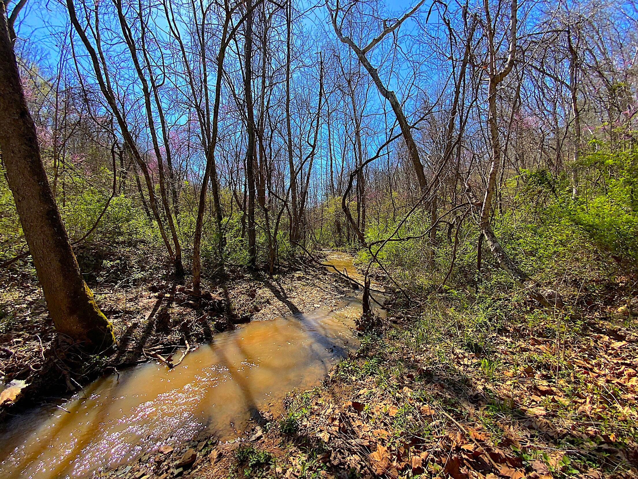 9675 State Route 554 Property Photo 26