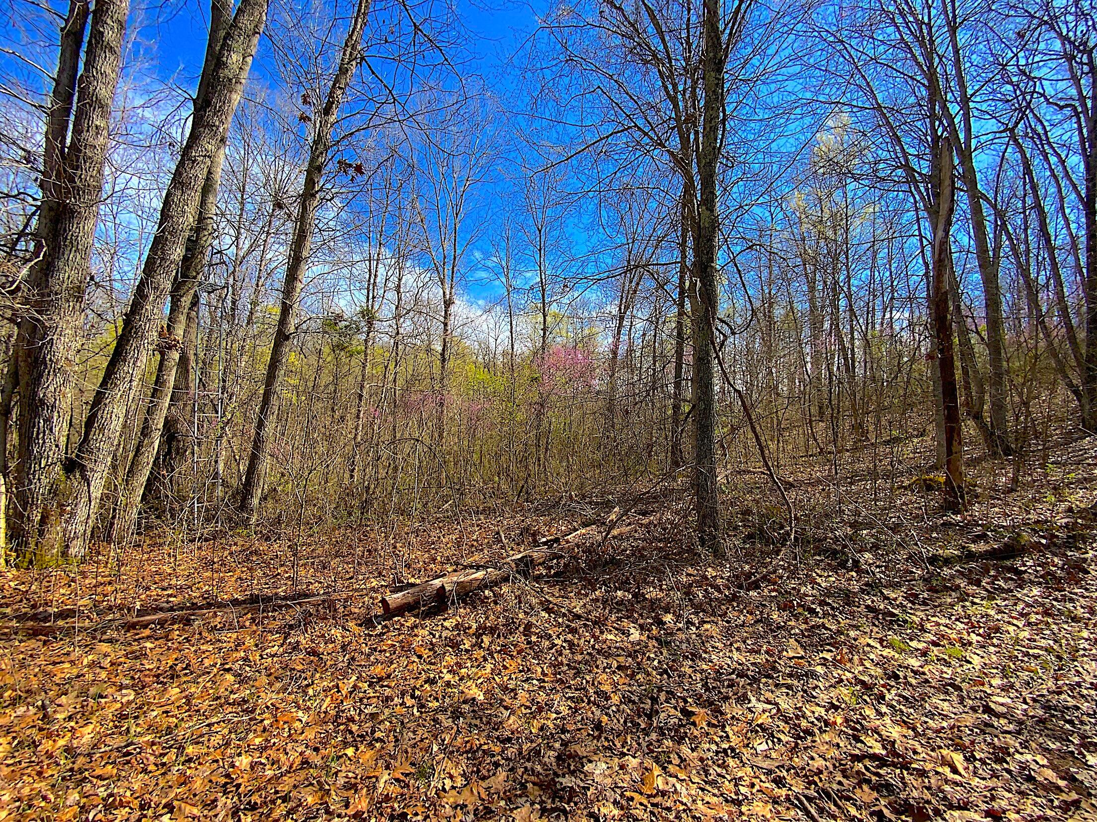 9675 State Route 554 Property Photo 27