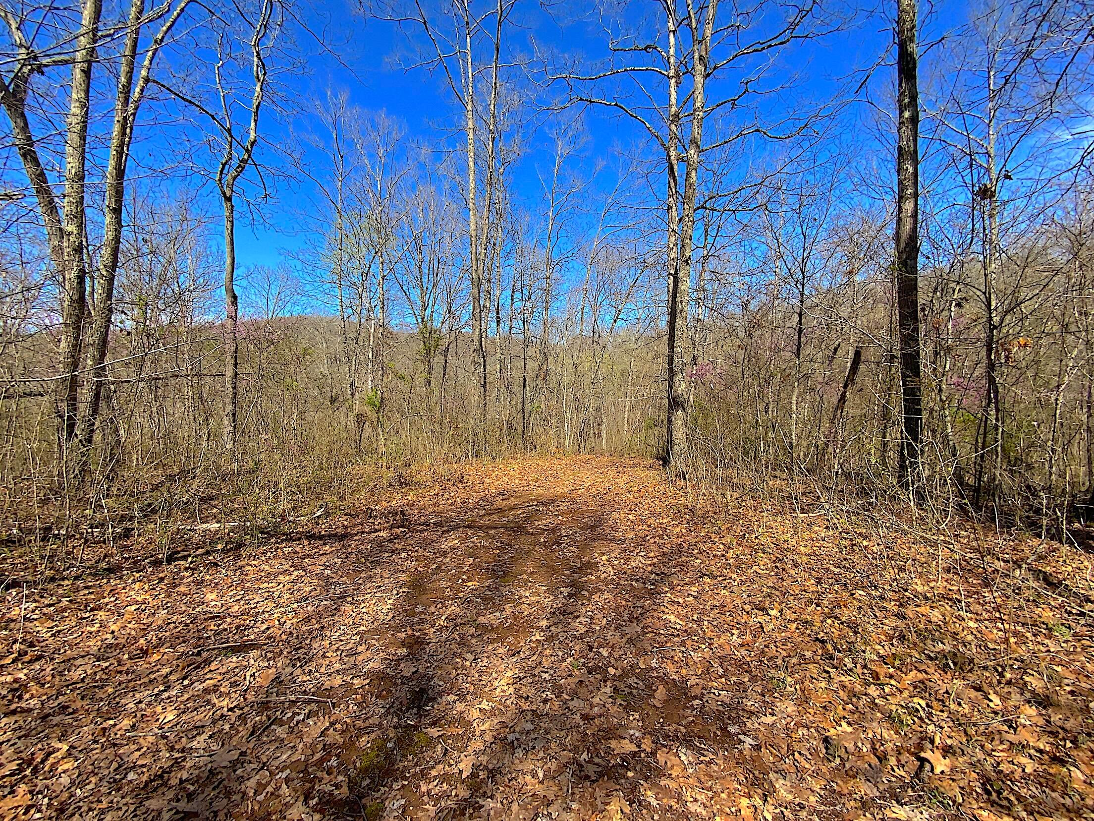 9675 State Route 554 Property Photo 28