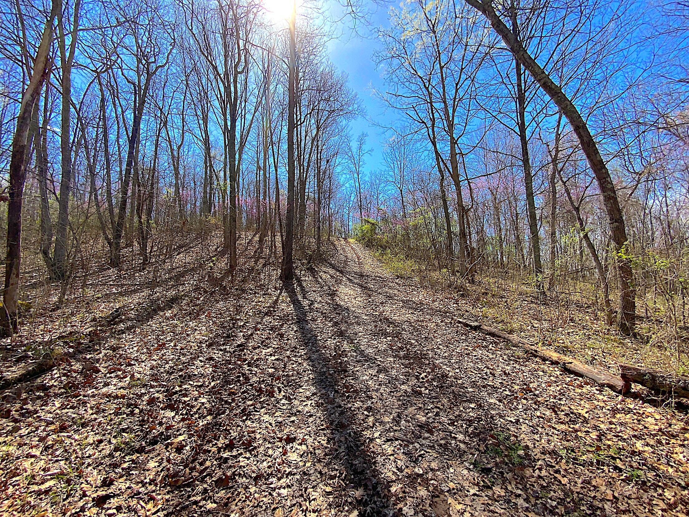 9675 State Route 554 Property Photo 29