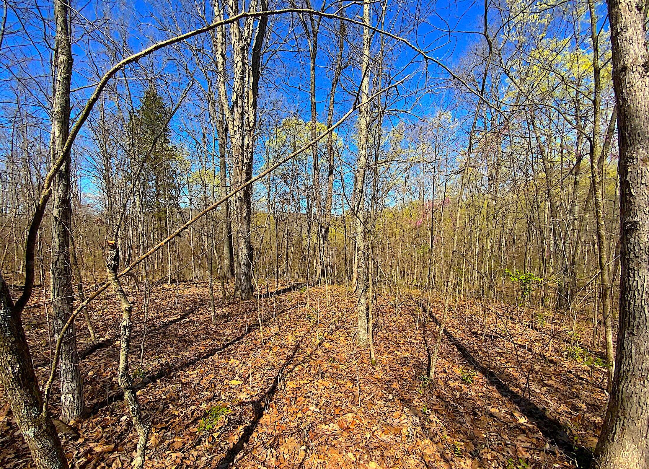 9675 State Route 554 Property Photo 31