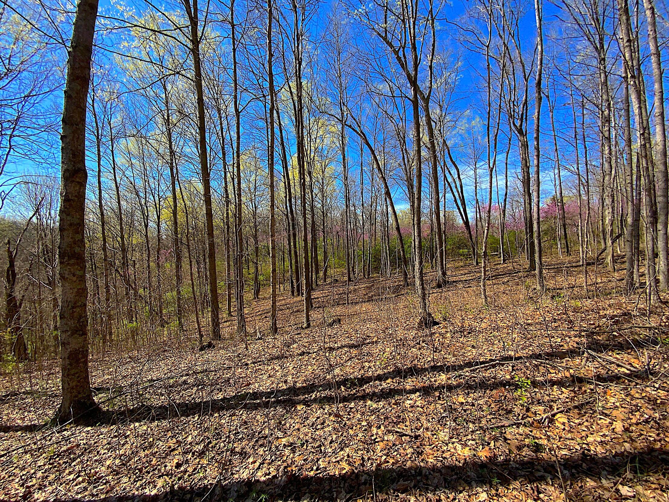9675 State Route 554 Property Photo 33