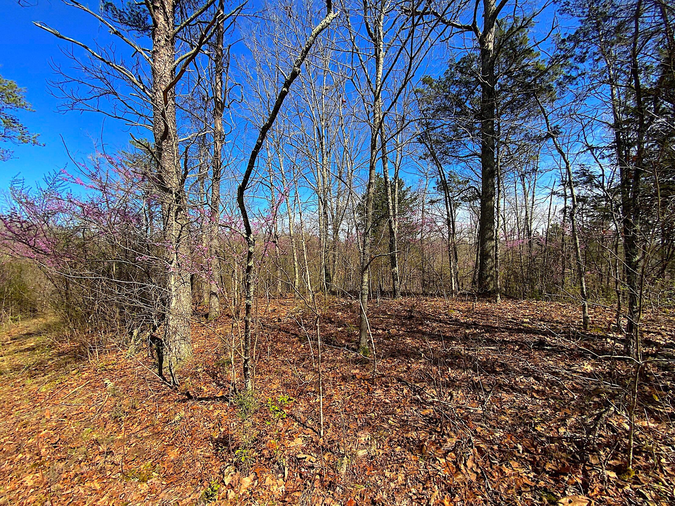 9675 State Route 554 Property Photo 34