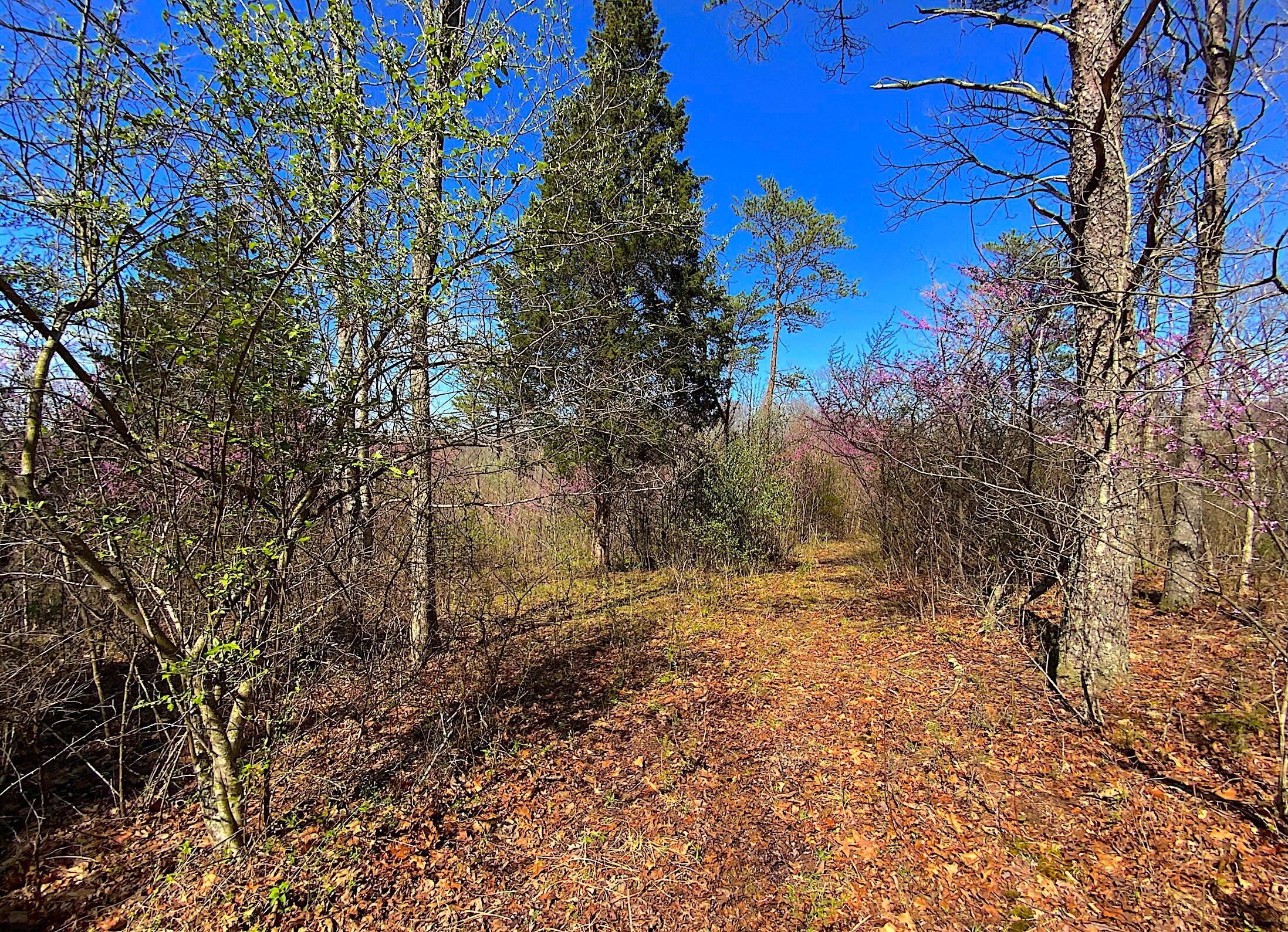 9675 State Route 554 Property Photo 35