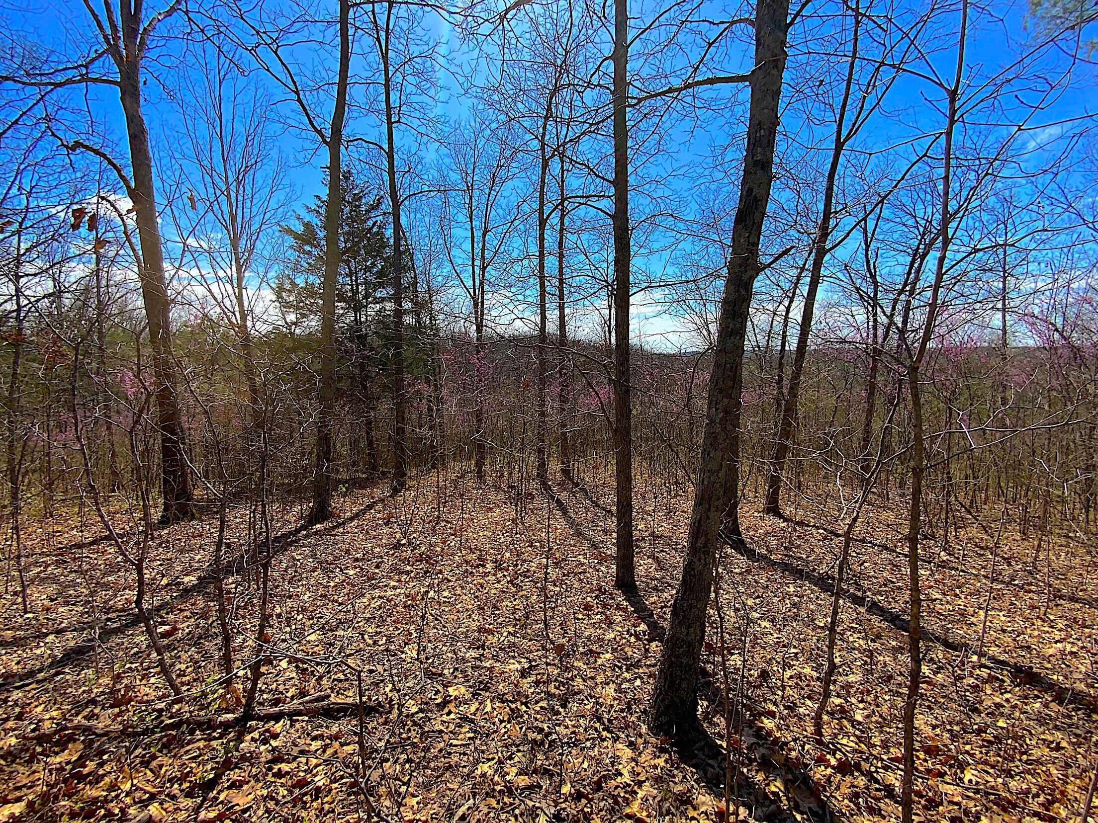 9675 State Route 554 Property Photo 37