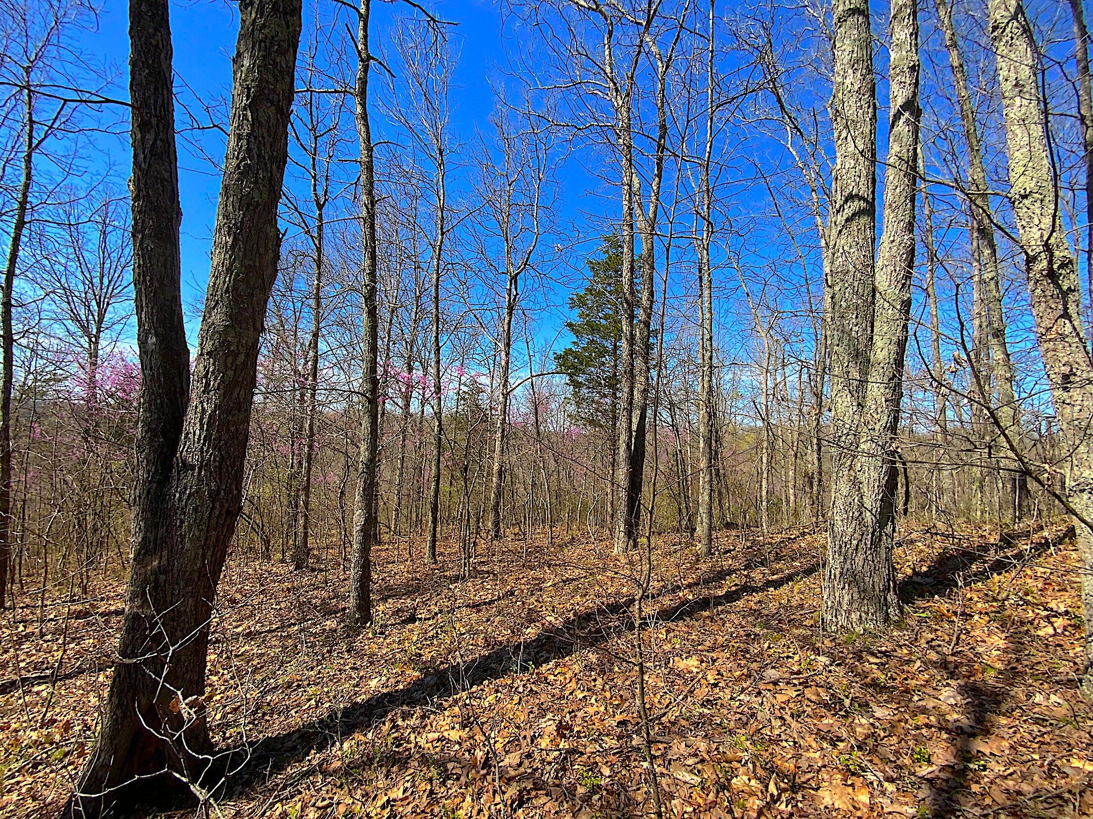 9675 State Route 554 Property Photo 38