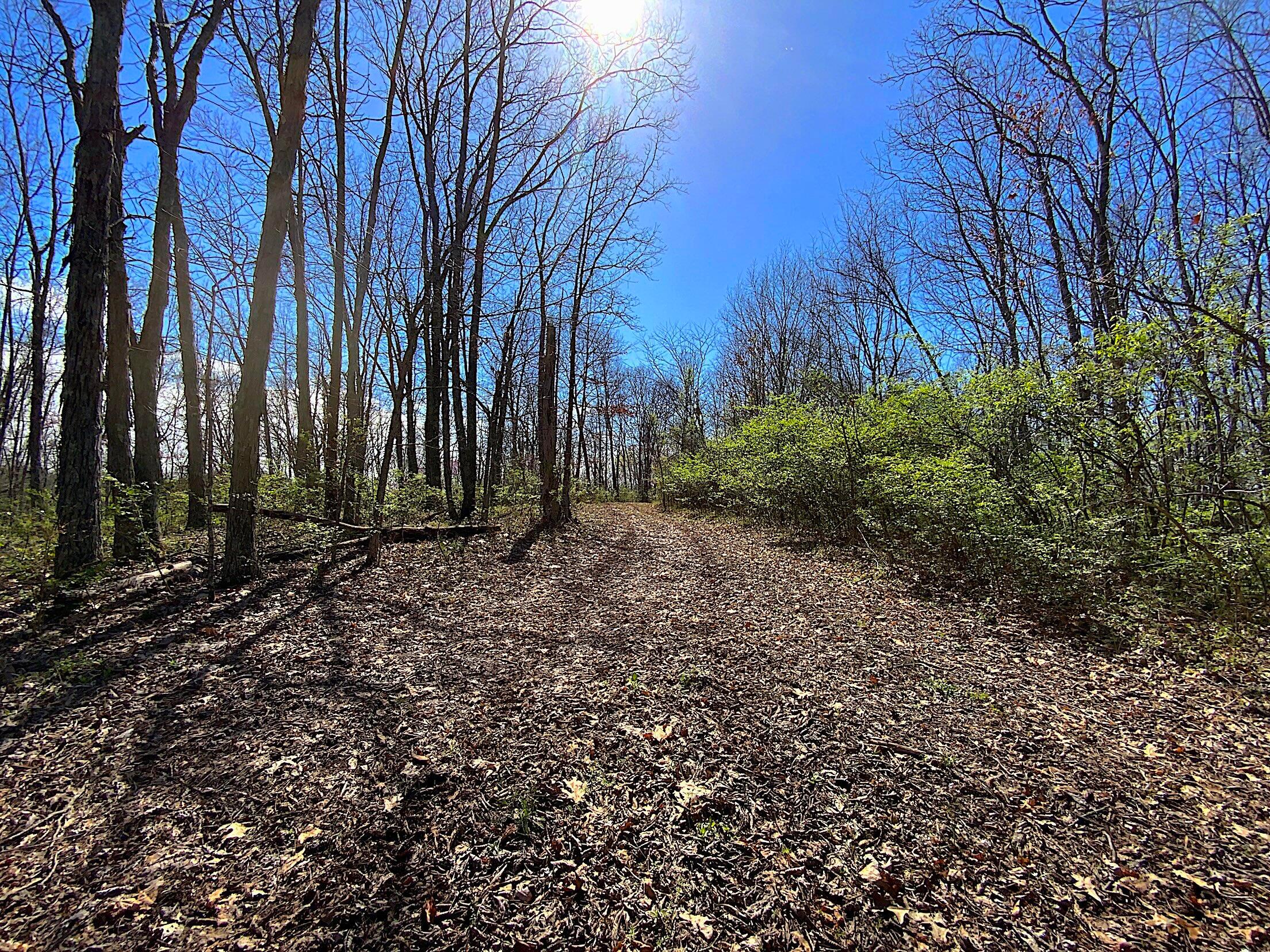 9675 State Route 554 Property Photo 39