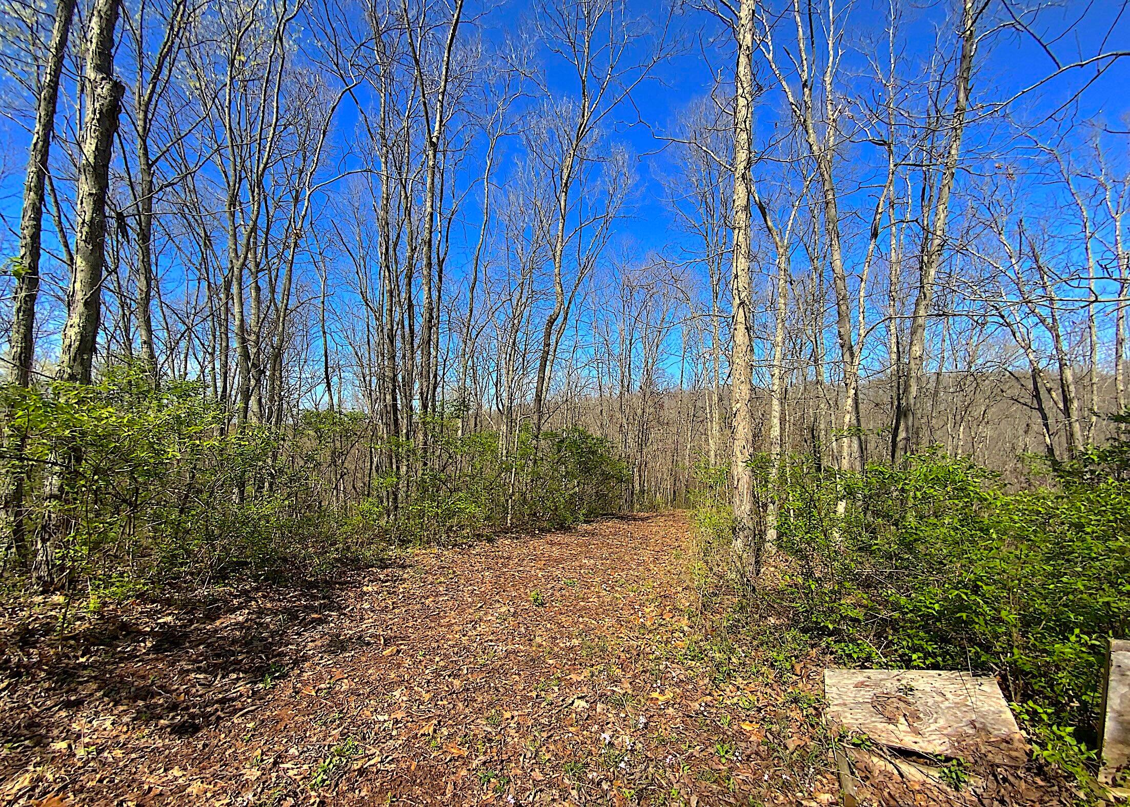 9675 State Route 554 Property Photo 40