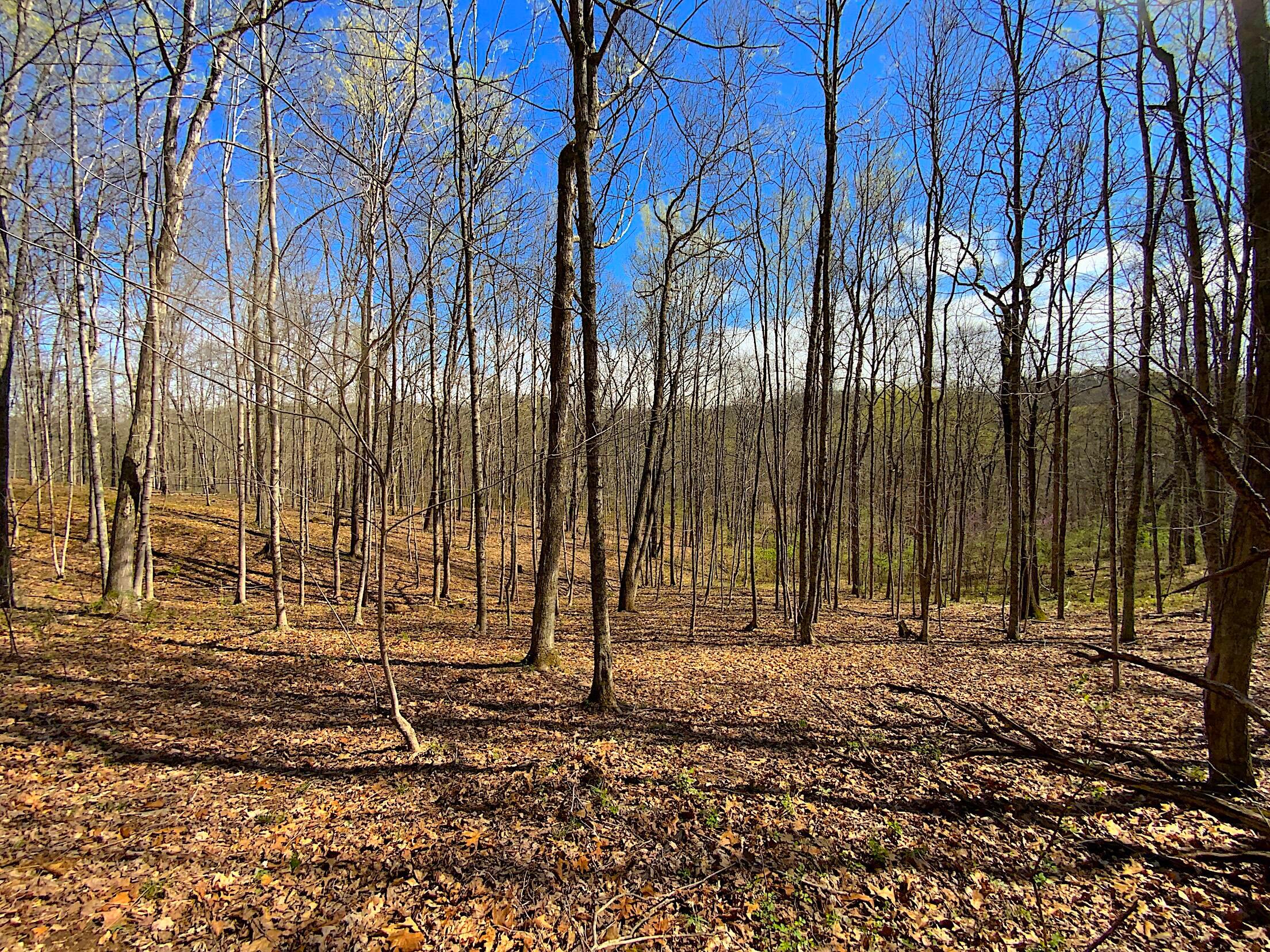 9675 State Route 554 Property Photo 41