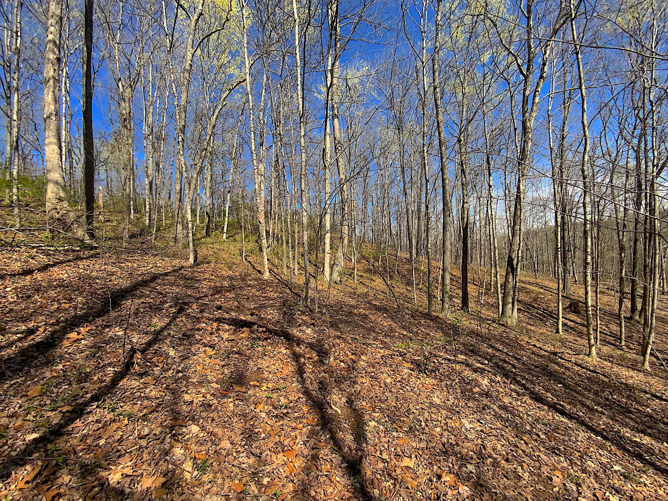 9675 State Route 554 Property Photo 42