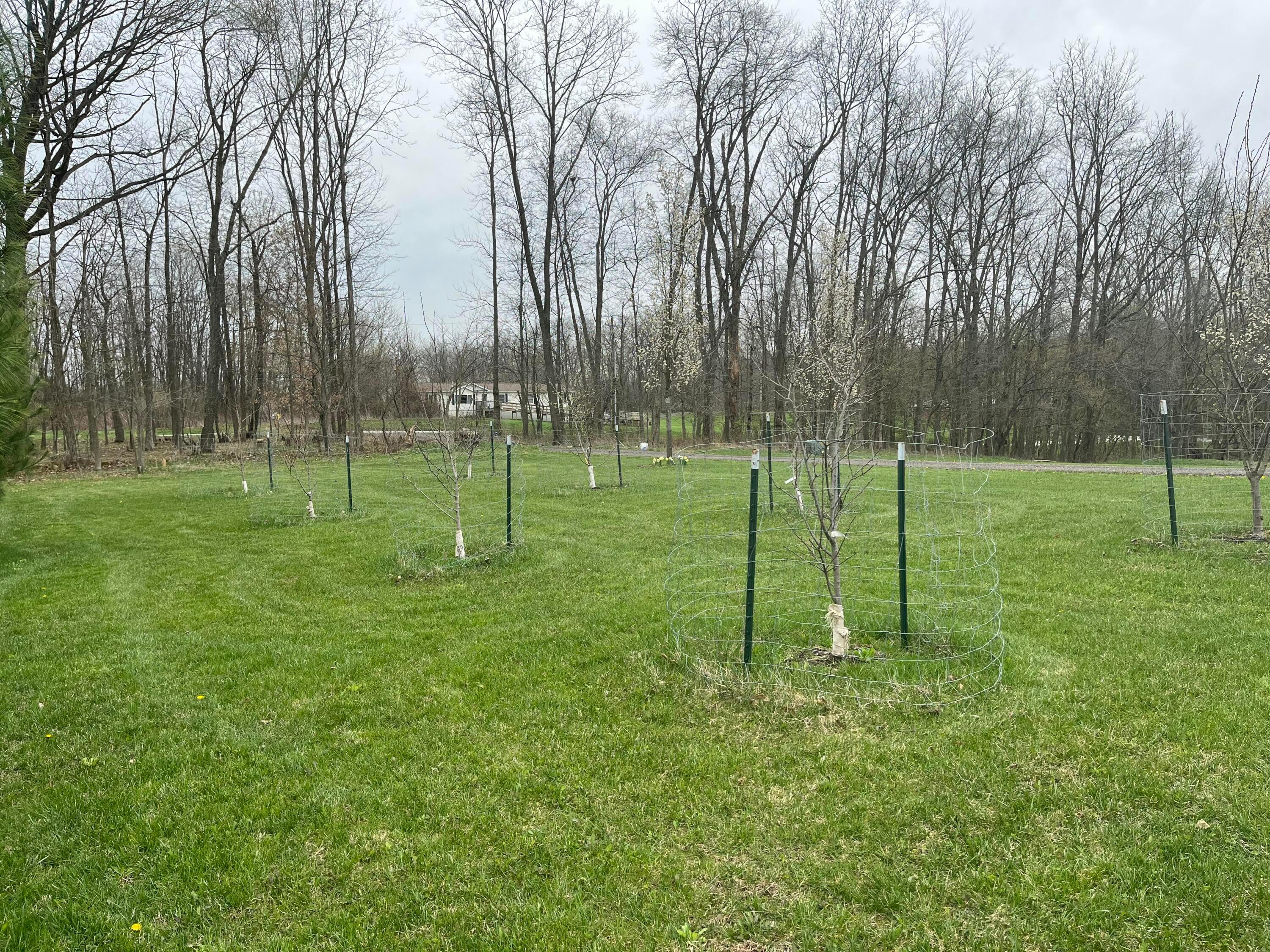 7705 Camp Road Property Photo 21