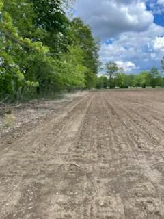 9139 Woodhaven Road Property Photo