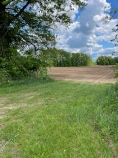 9139 Woodhaven Road Property Photo 3