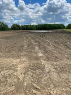 9139 Woodhaven Road Property Photo 5