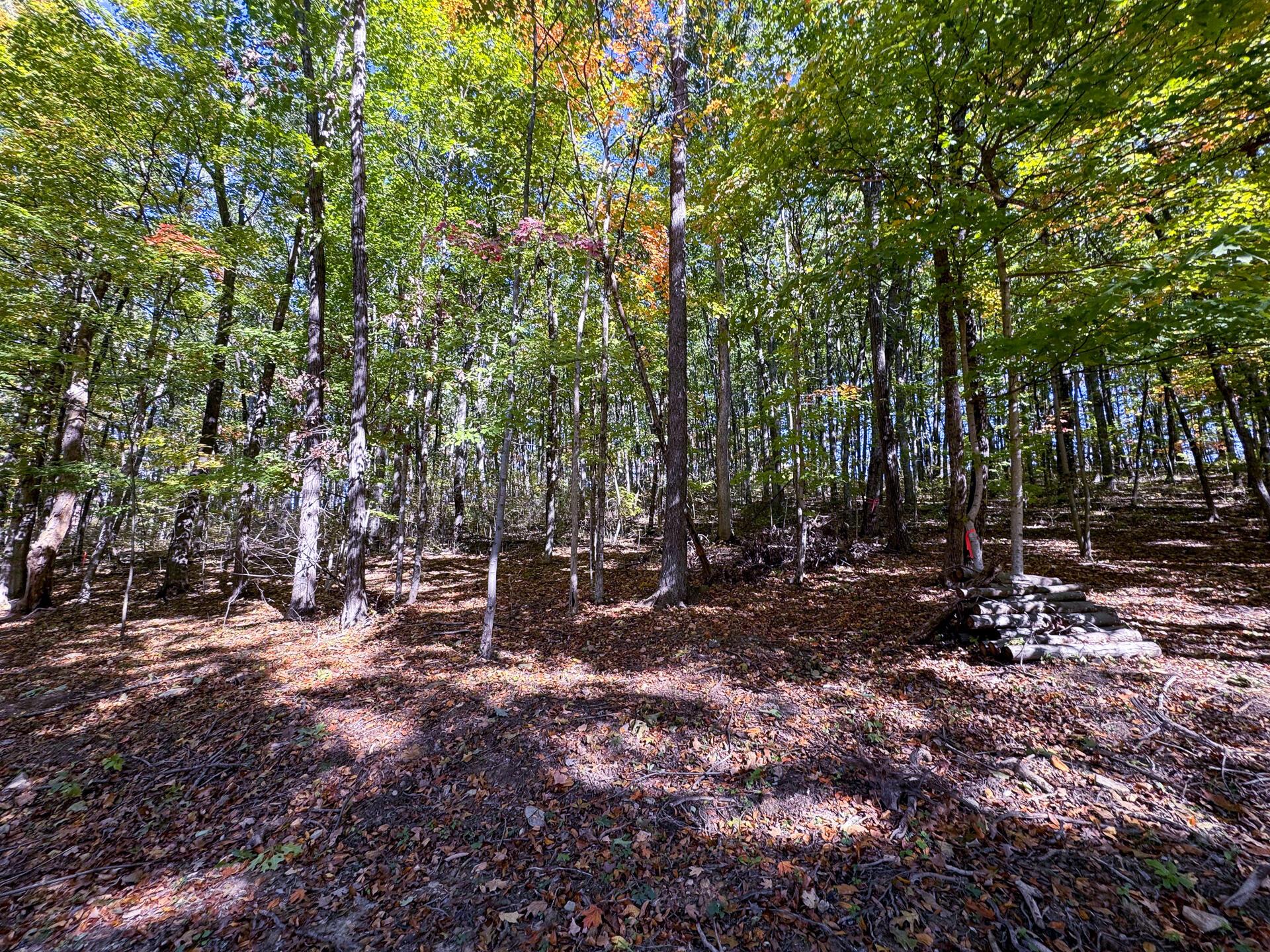 0 Easterday Road, (tract 7 At Easterday Woods) Property Photo