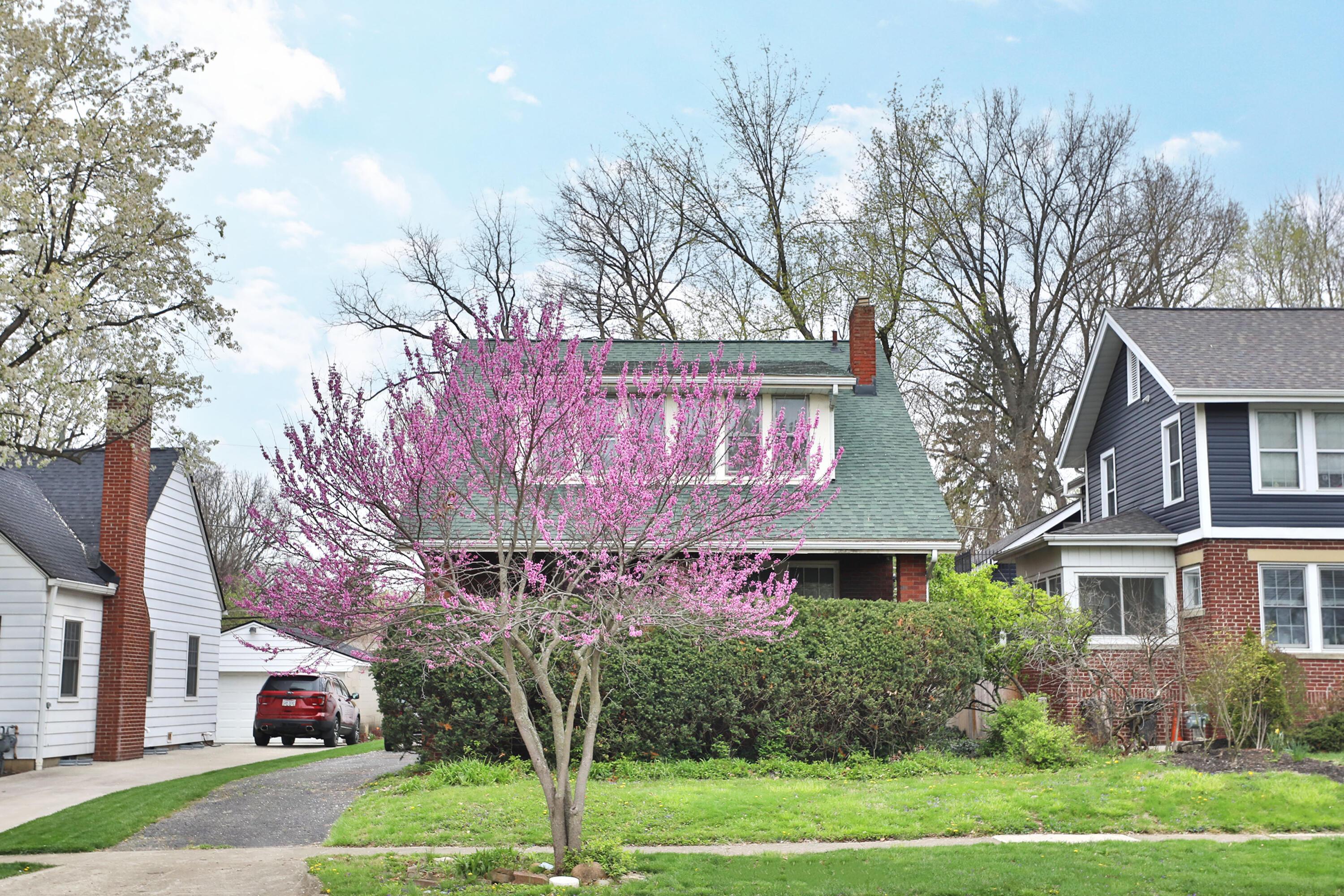 52 Blenheim Road Property Photo