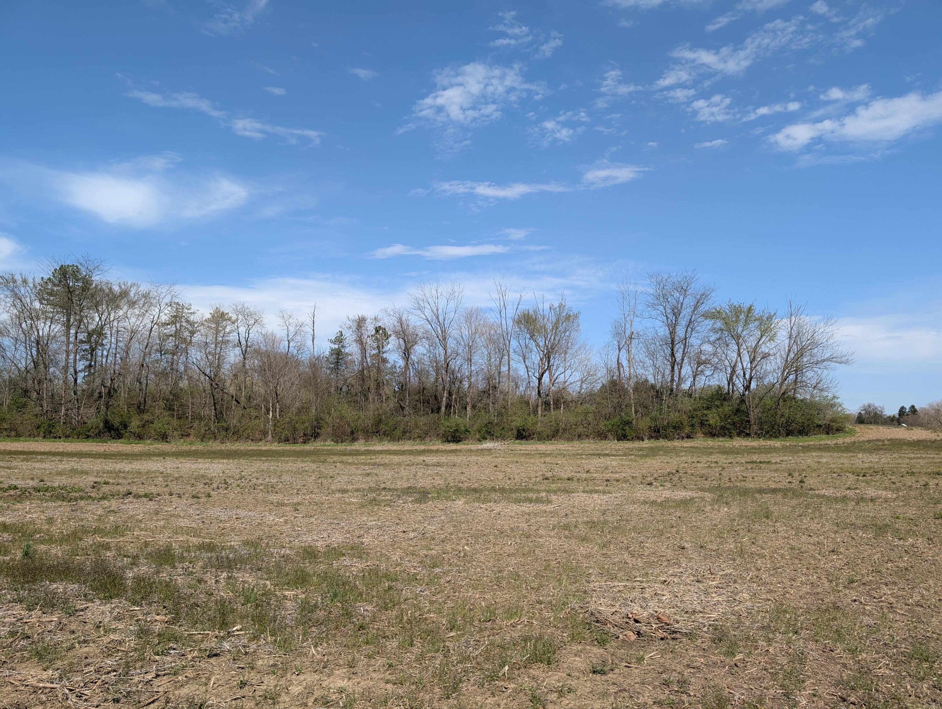 0 Van Fossen Road, Tract B Property Photo 3