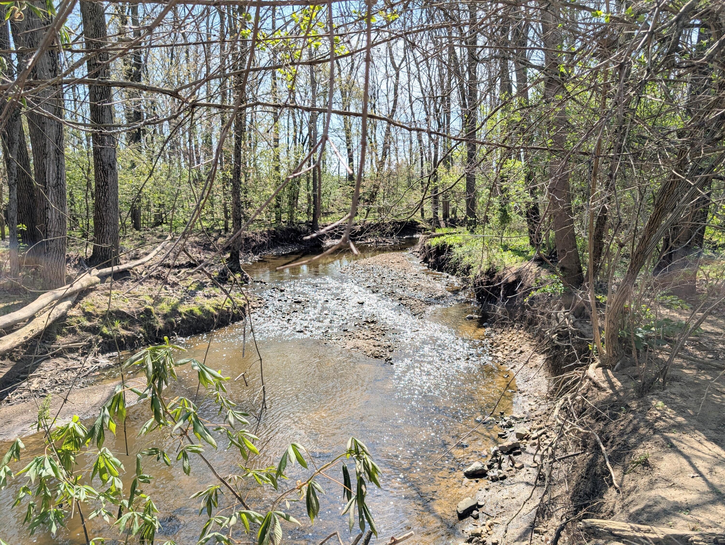 0 Van Fossen Road, Tract C Property Photo 1
