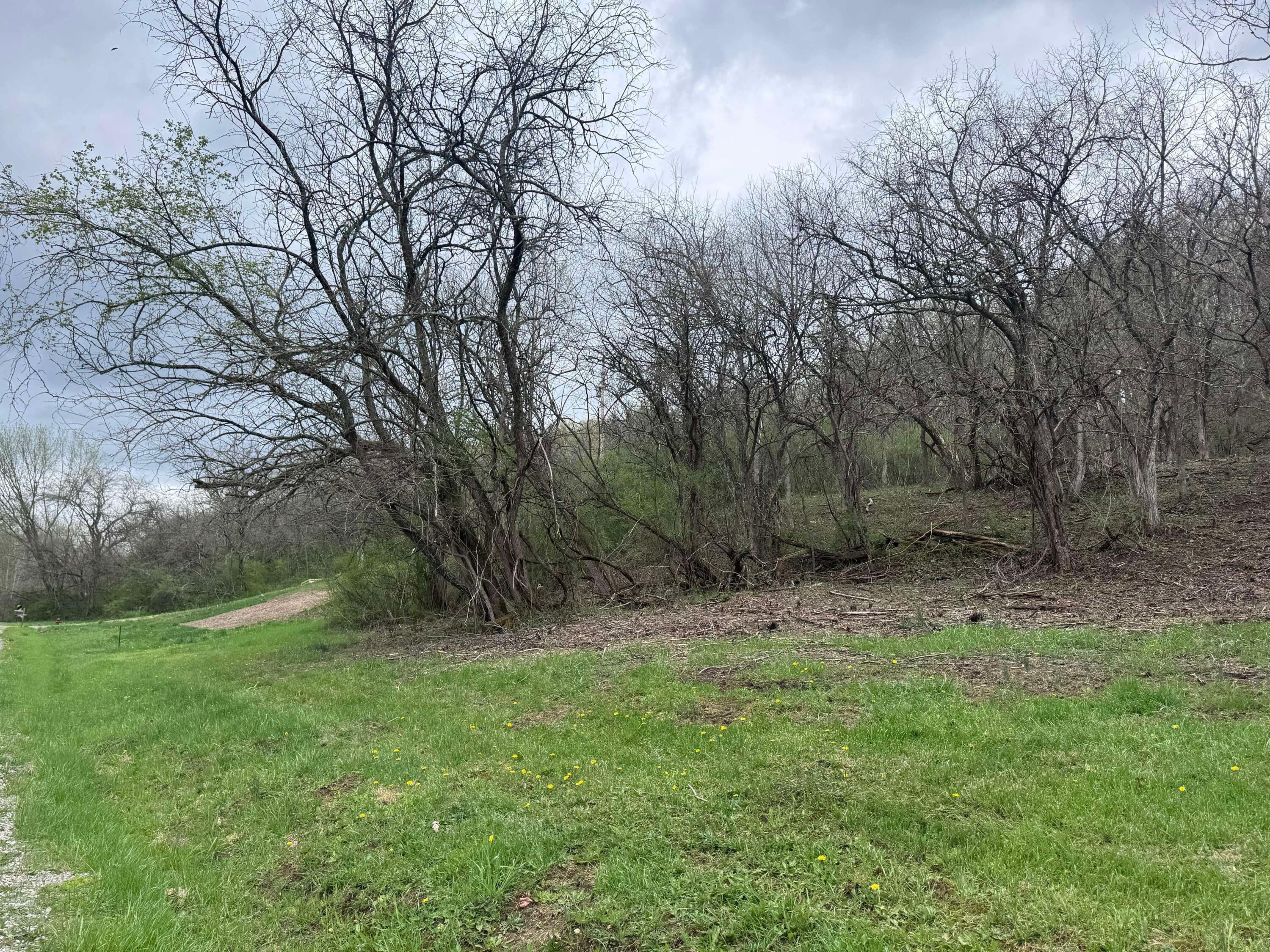 3960 Wedgewood Drive Property Photo