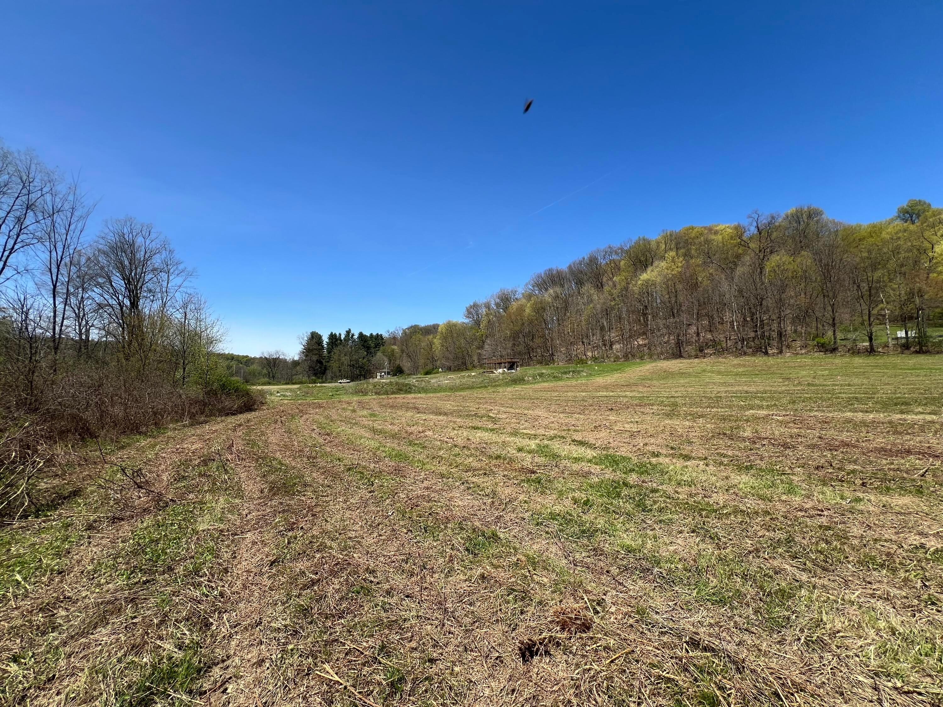 0 Kenton Road Property Photo 8