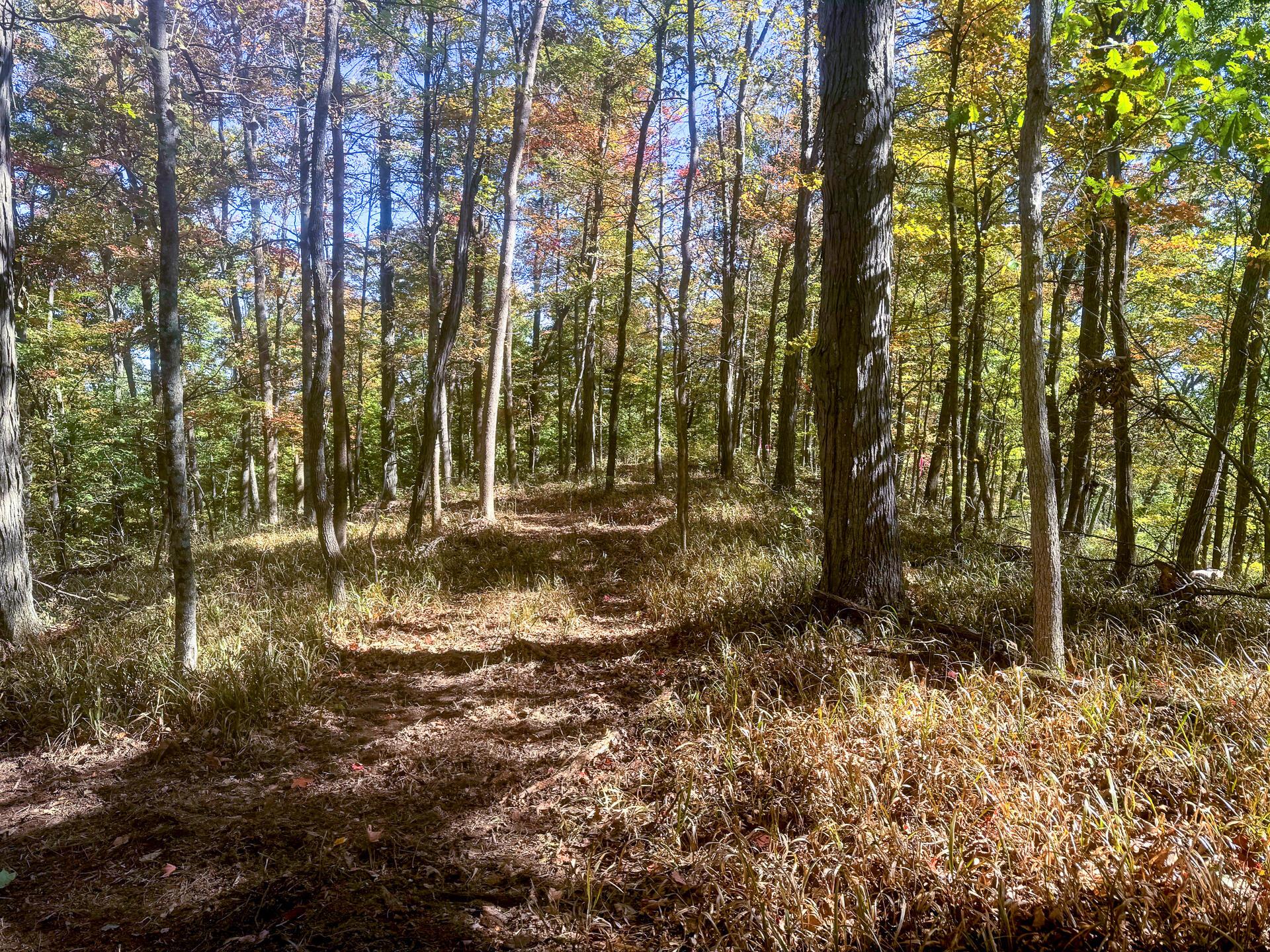 0 Easterday Road, (tract 8 At Easterday Woods) Property Photo