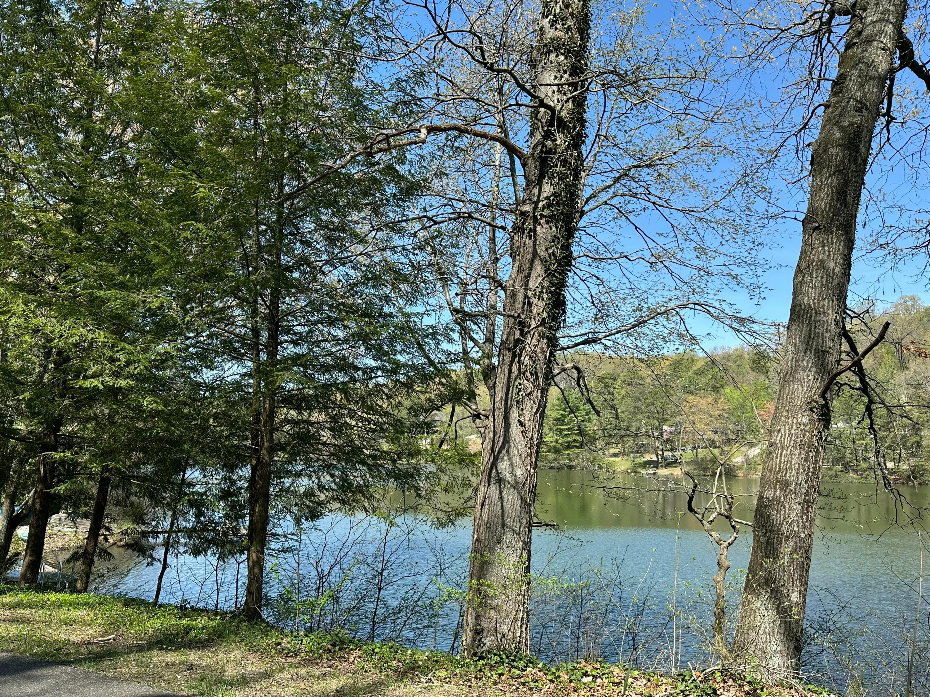 547 Ross Road Se Property Photo