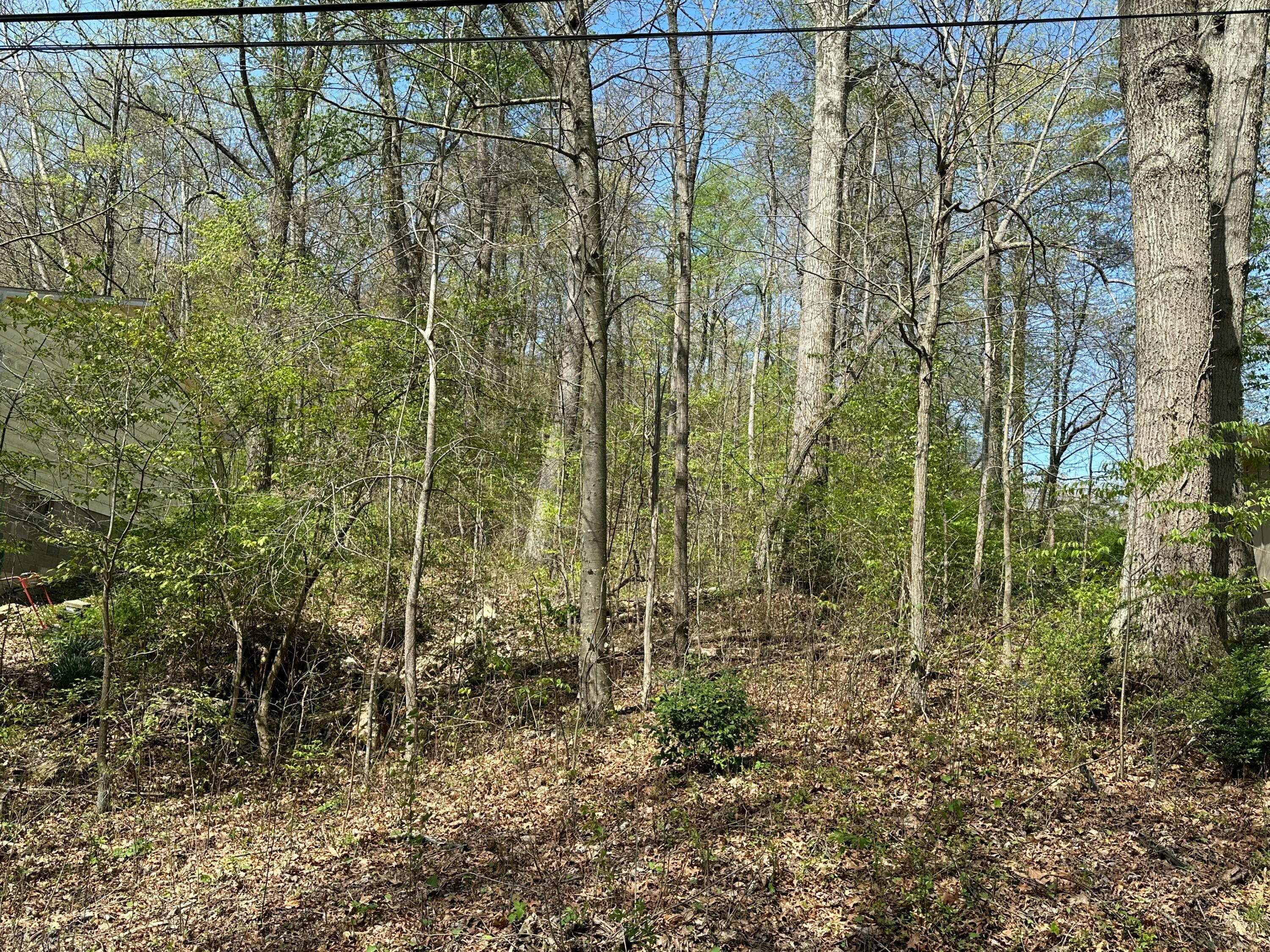 593 Ross Road Se Property Photo