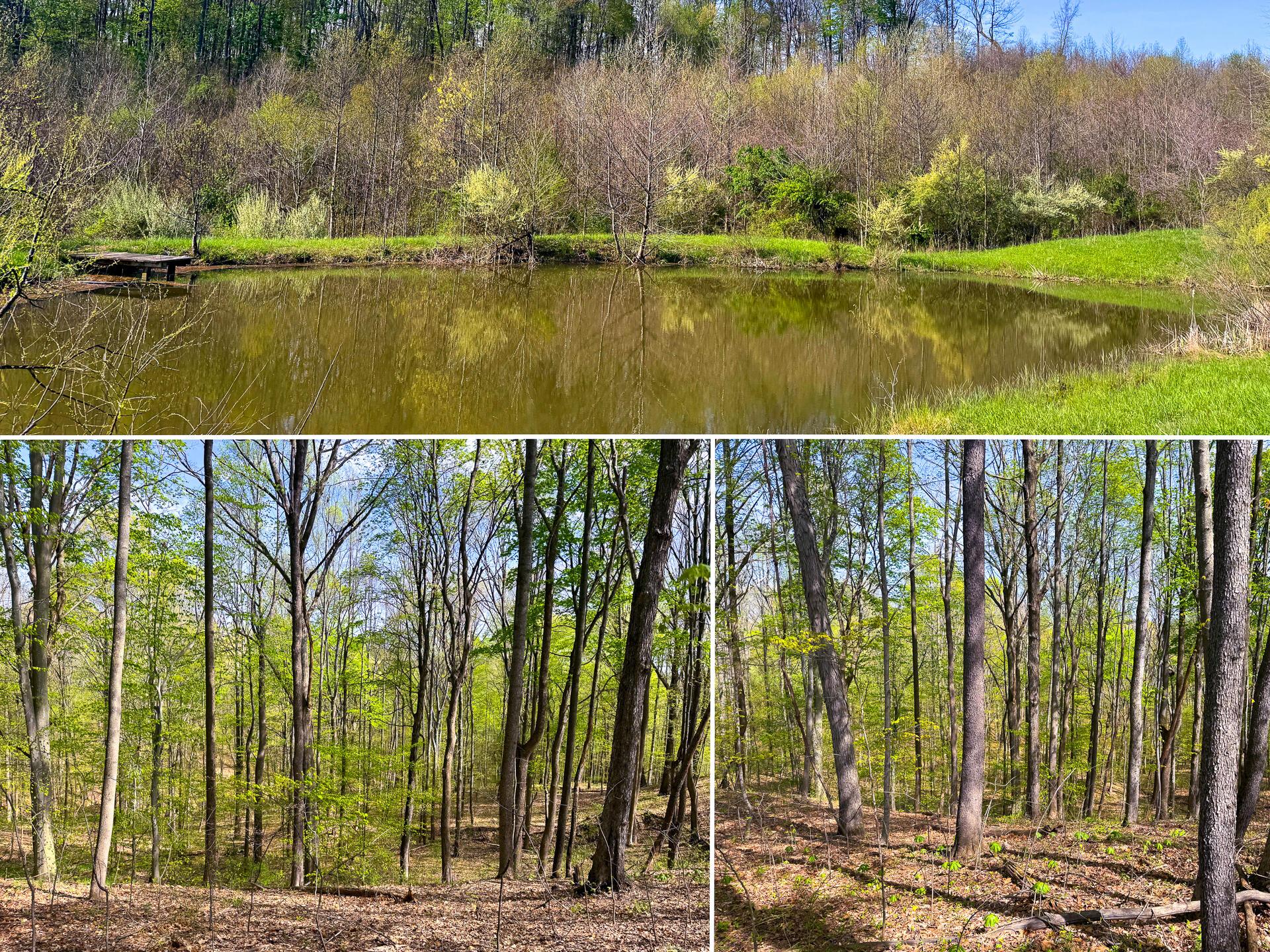 41447 Sr 684, (tract 13 Albany Woods) Property Photo