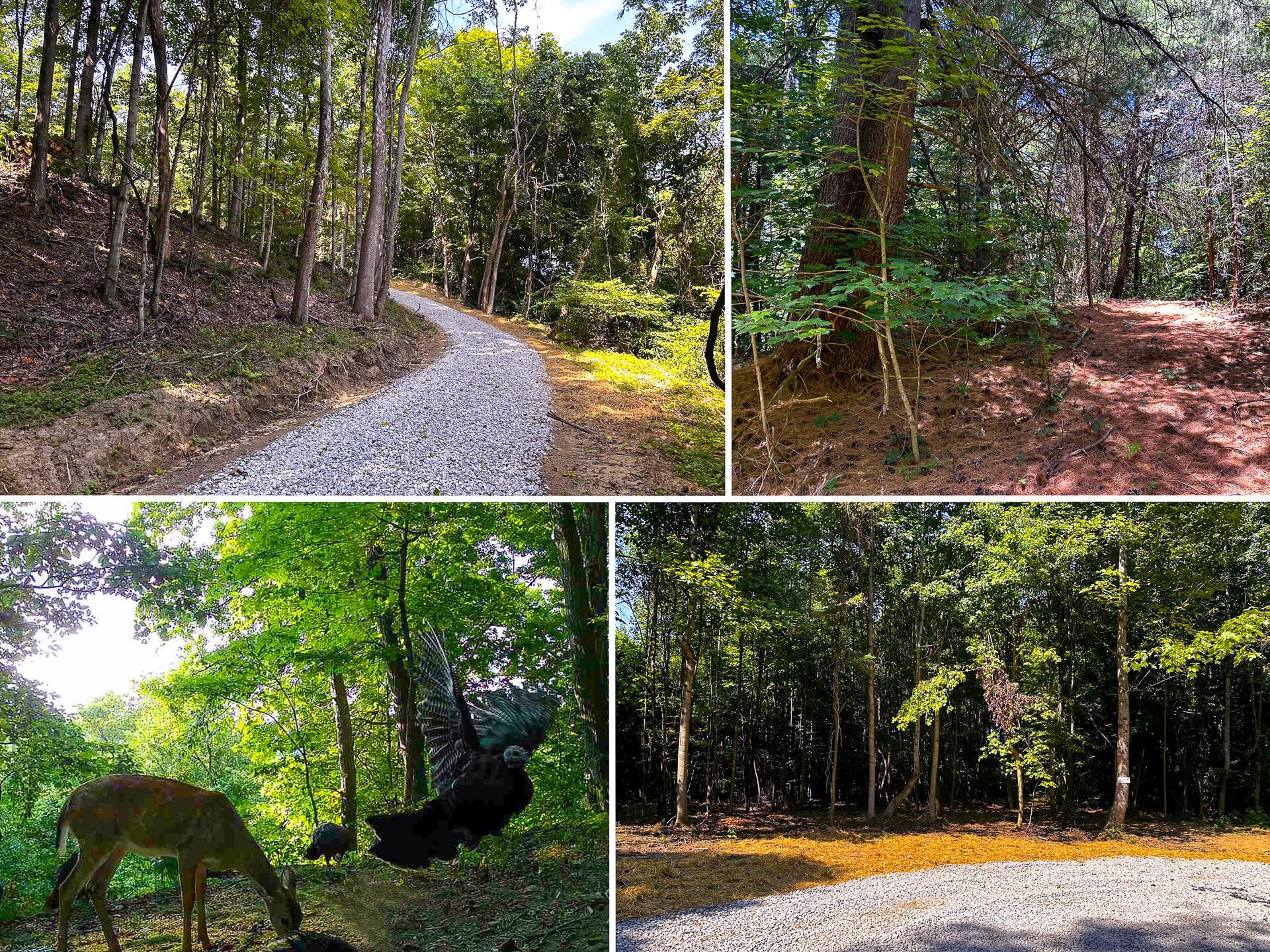 33114 Parkinson Road, (tract 10 At Titus) Property Photo