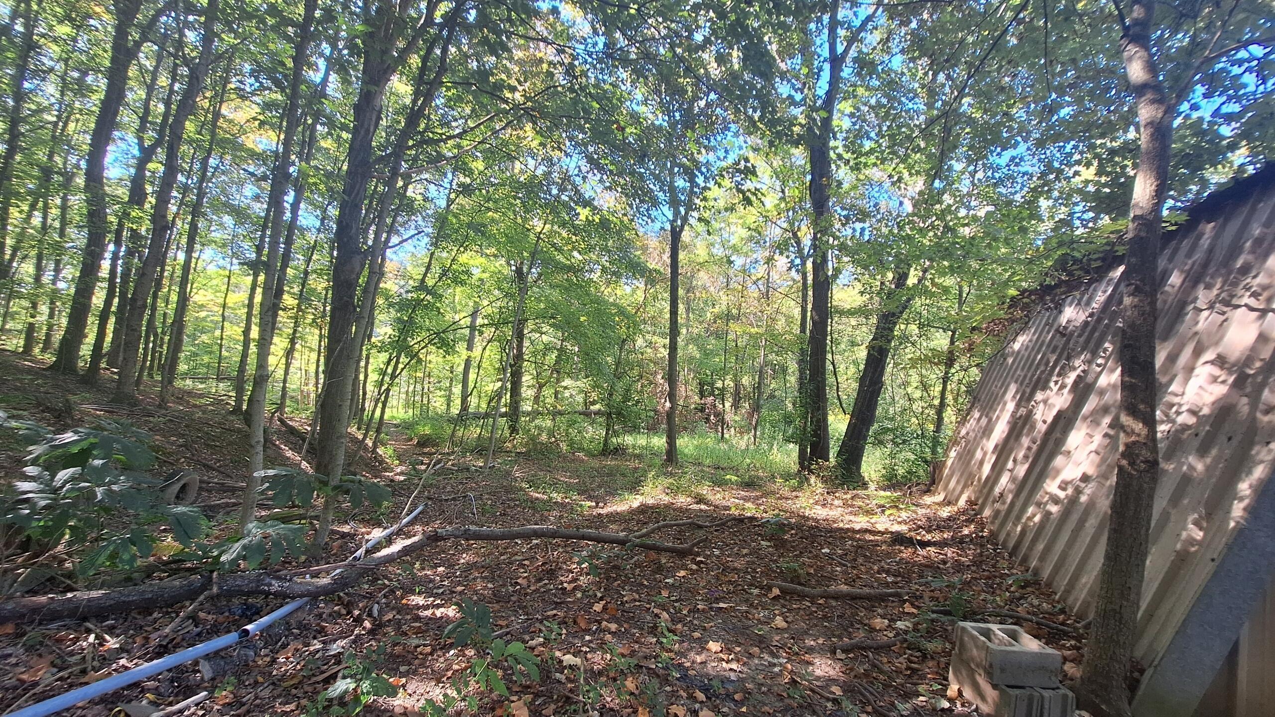 965 Graves Road Property Photo 9